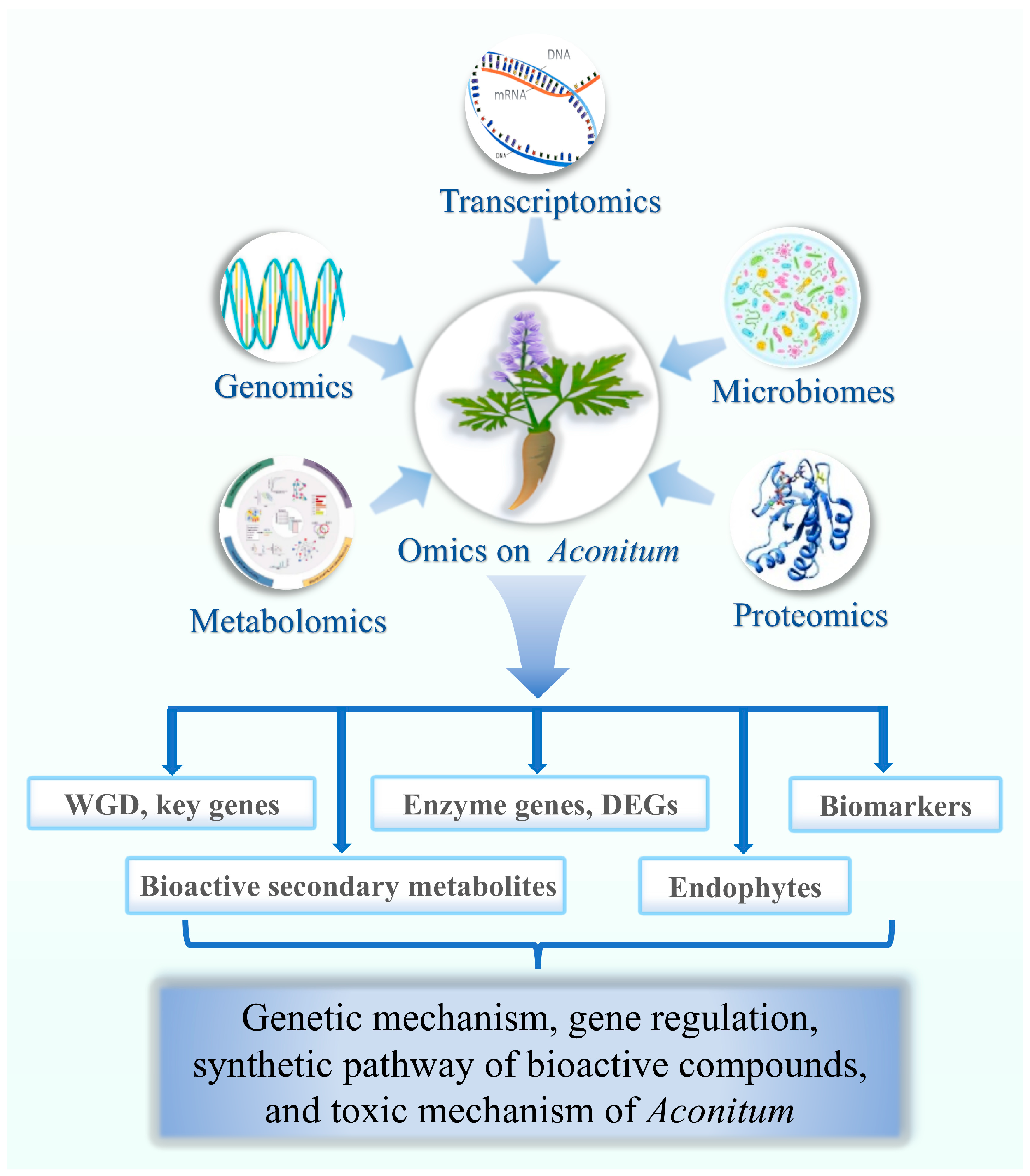 Molecules 30 00118 g001