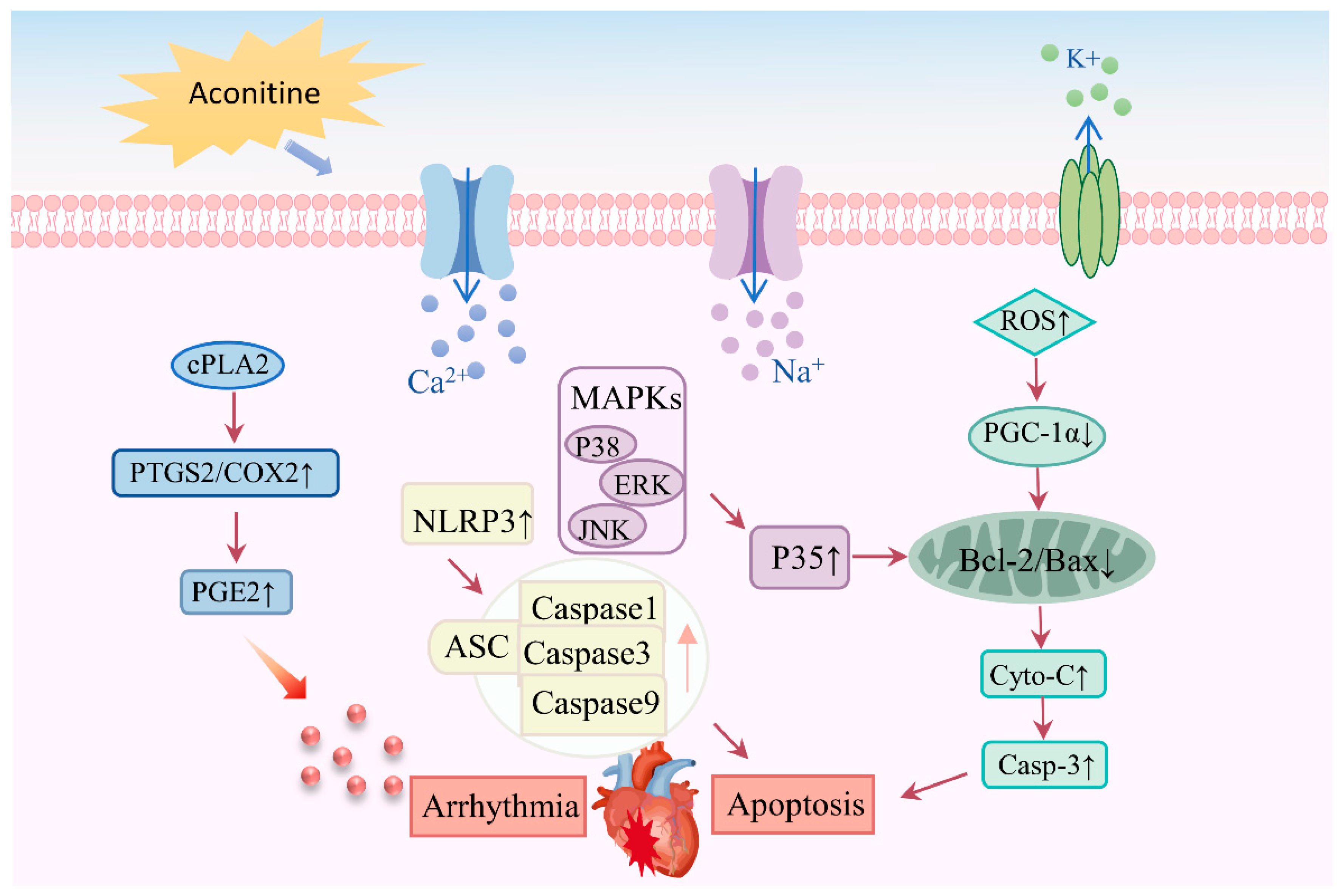 Molecules 30 00118 g006