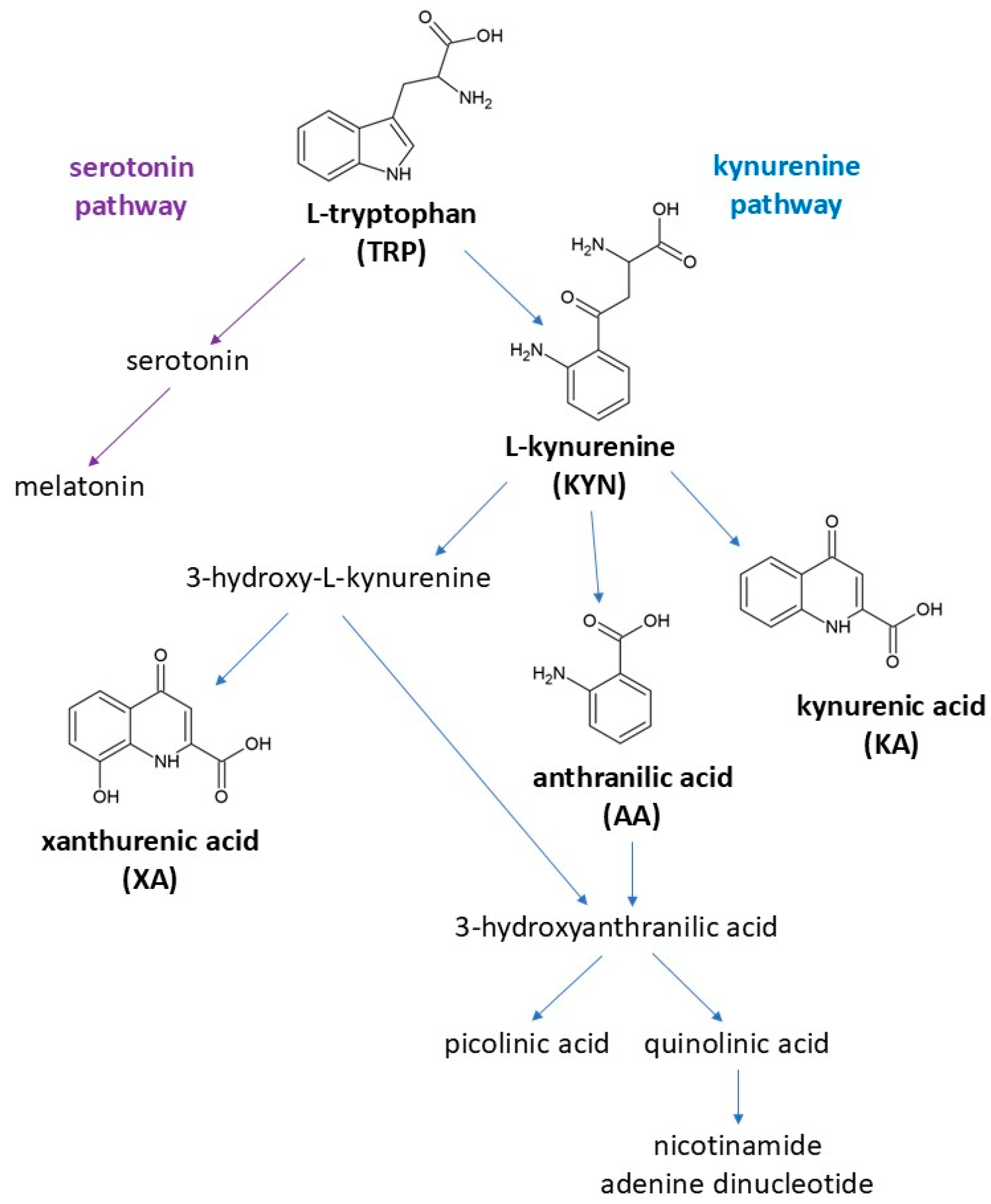 Molecules 30 00121 g001