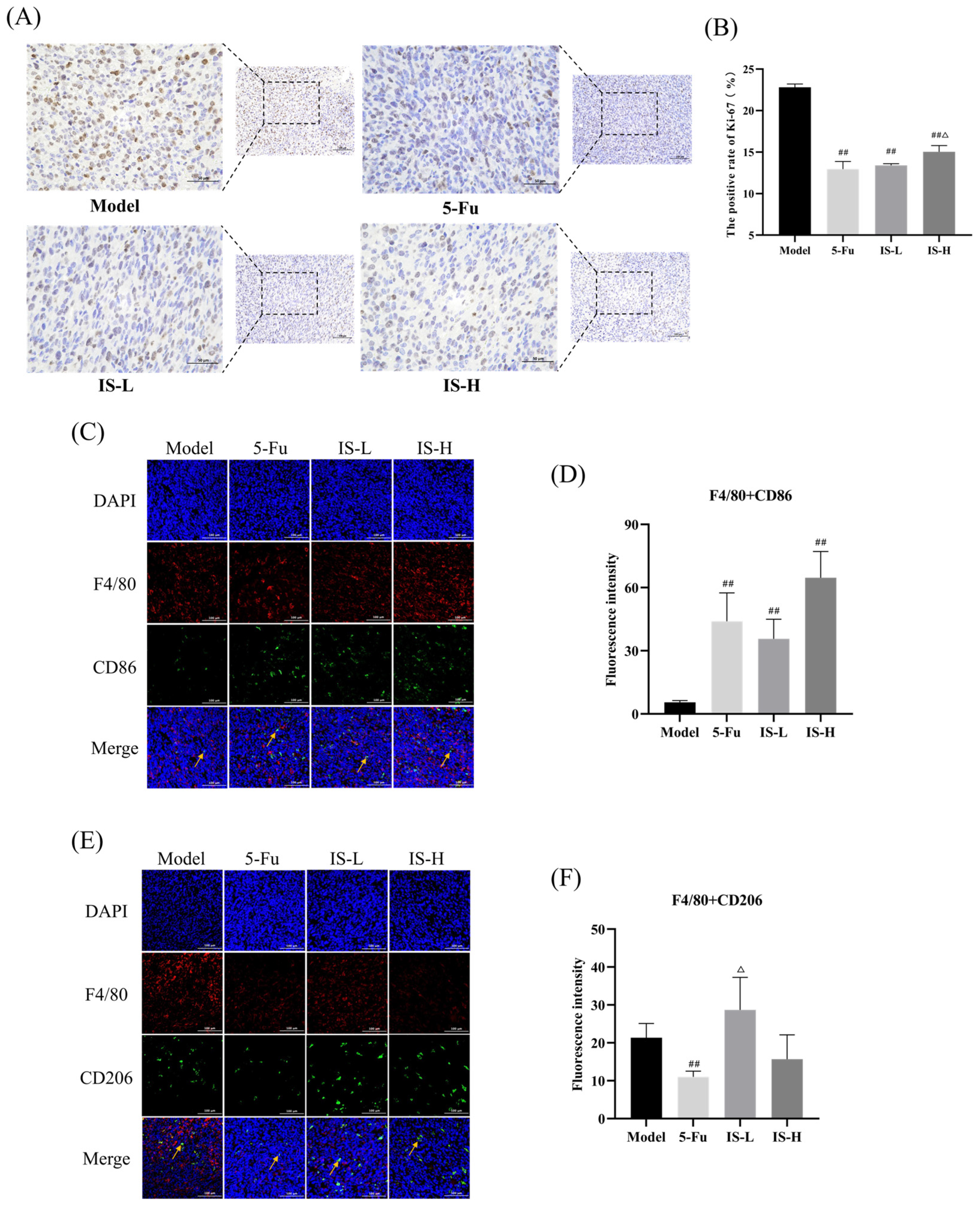 Molecules 30 00123 g004