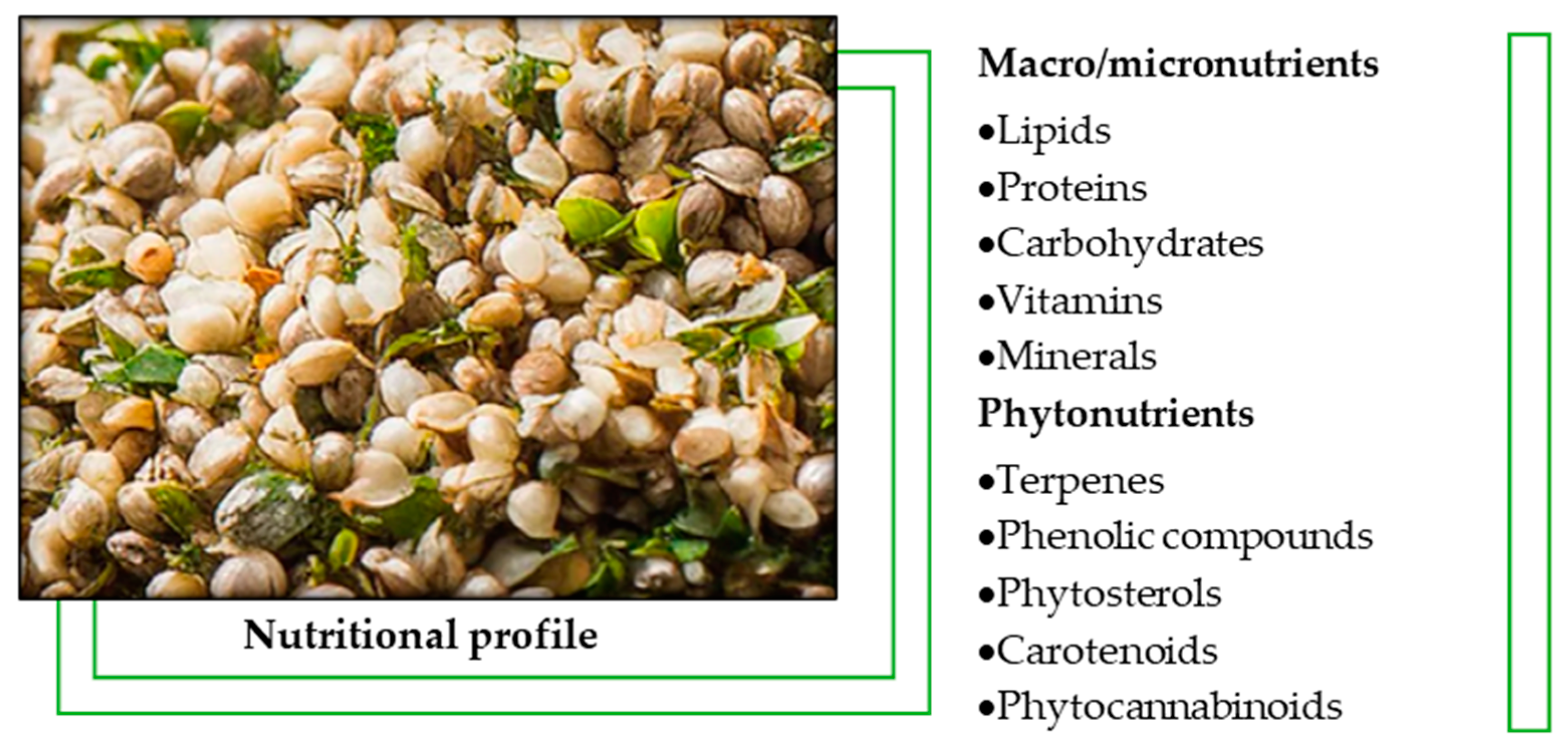 Molecules 30 00124 g001