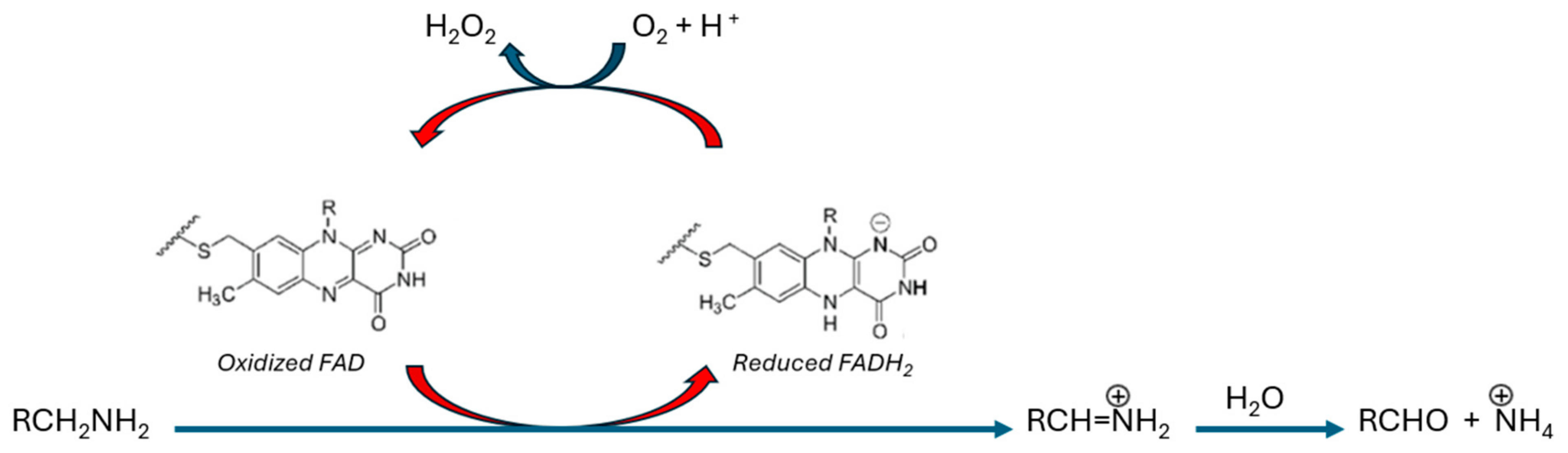 Molecules 30 00126 g001