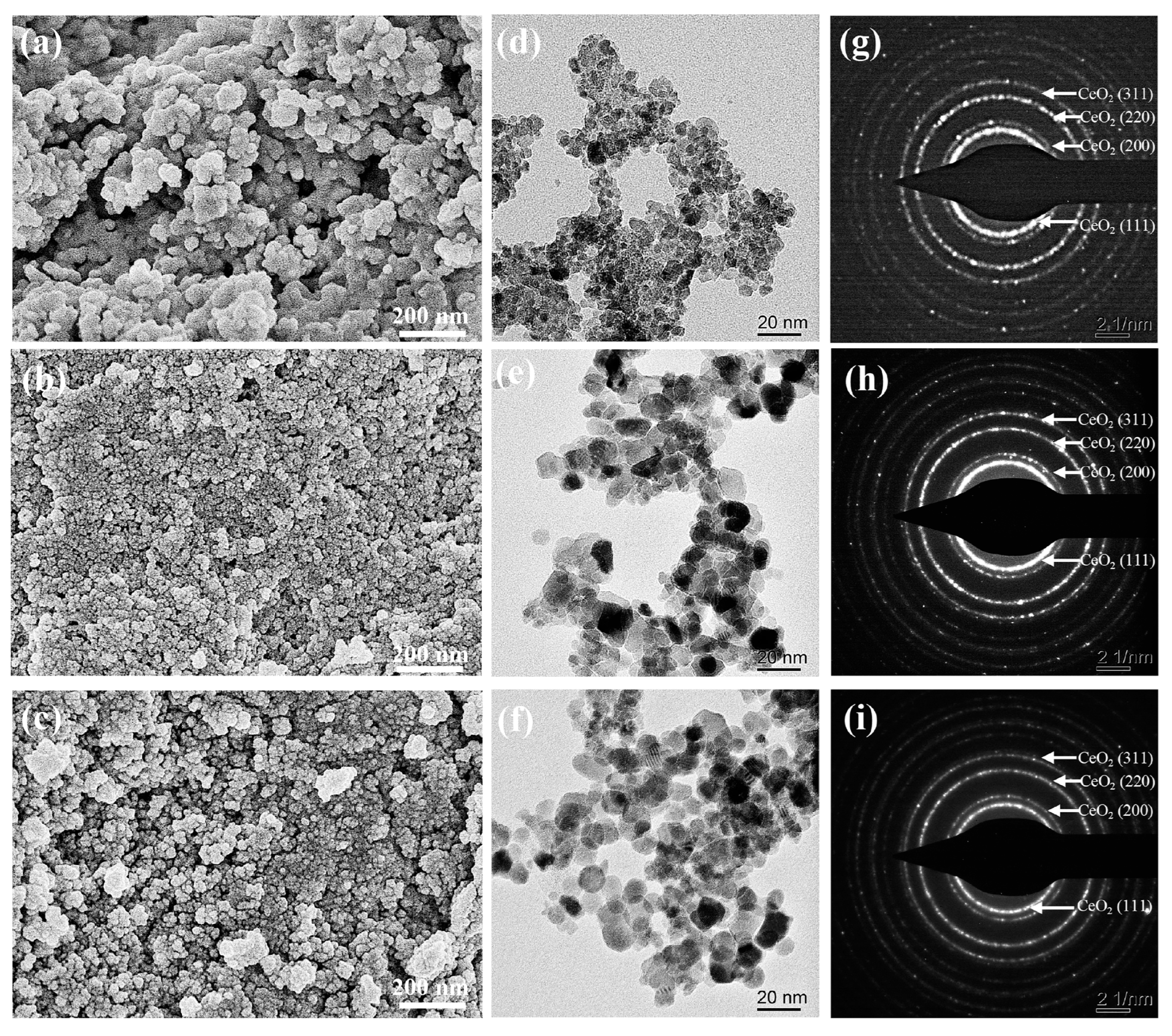 Molecules 30 00127 g002 Molecules 30 00127 g002