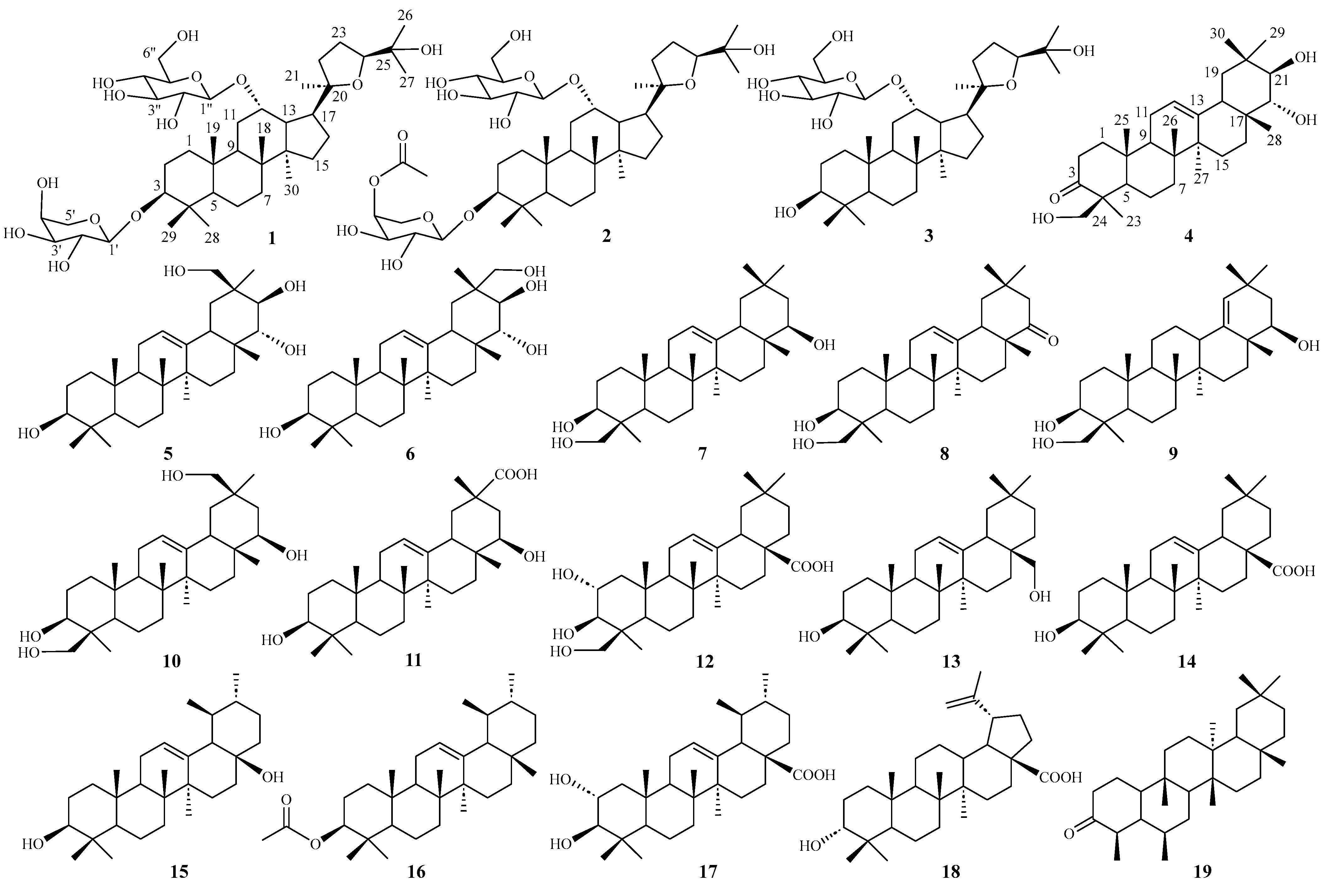 Molecules 30 00131 g001