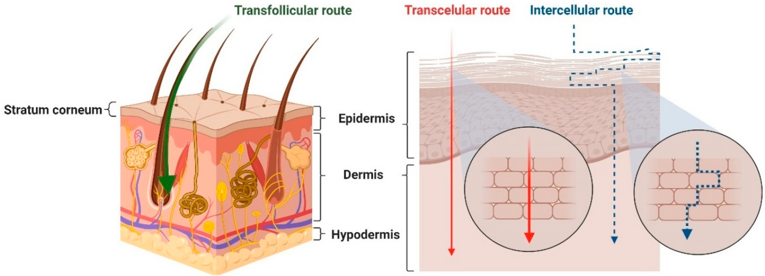 Molecules 30 00136 g002