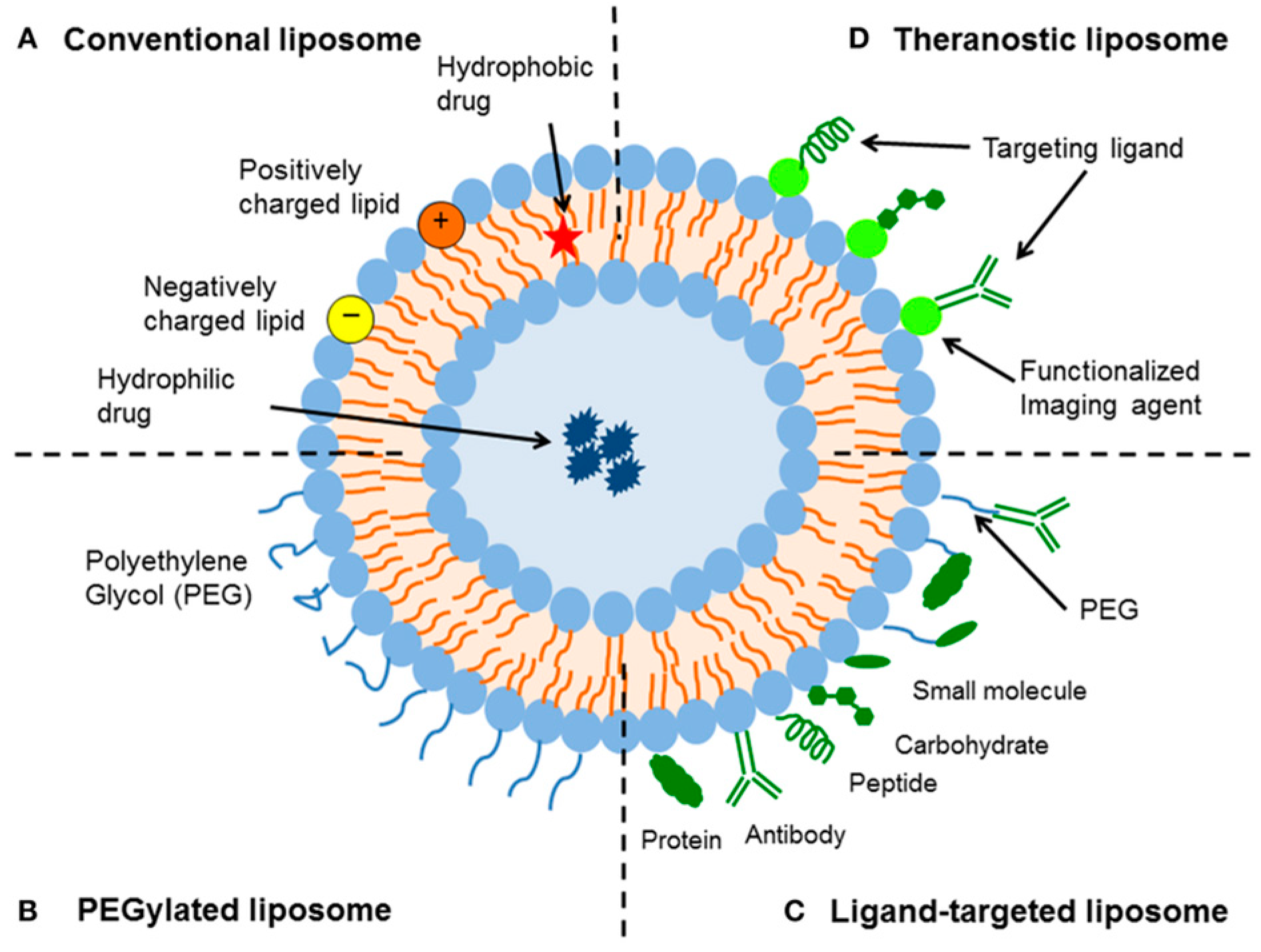 Molecules 30 00136 g003
