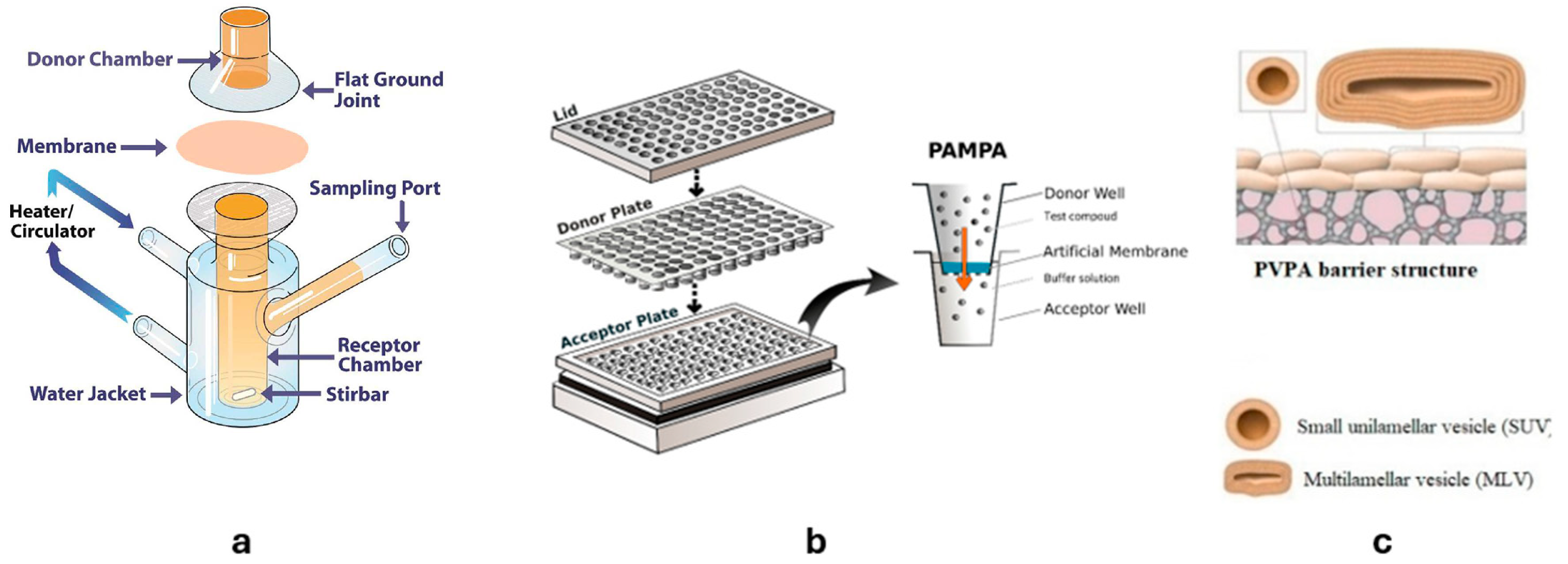 Molecules 30 00136 g004