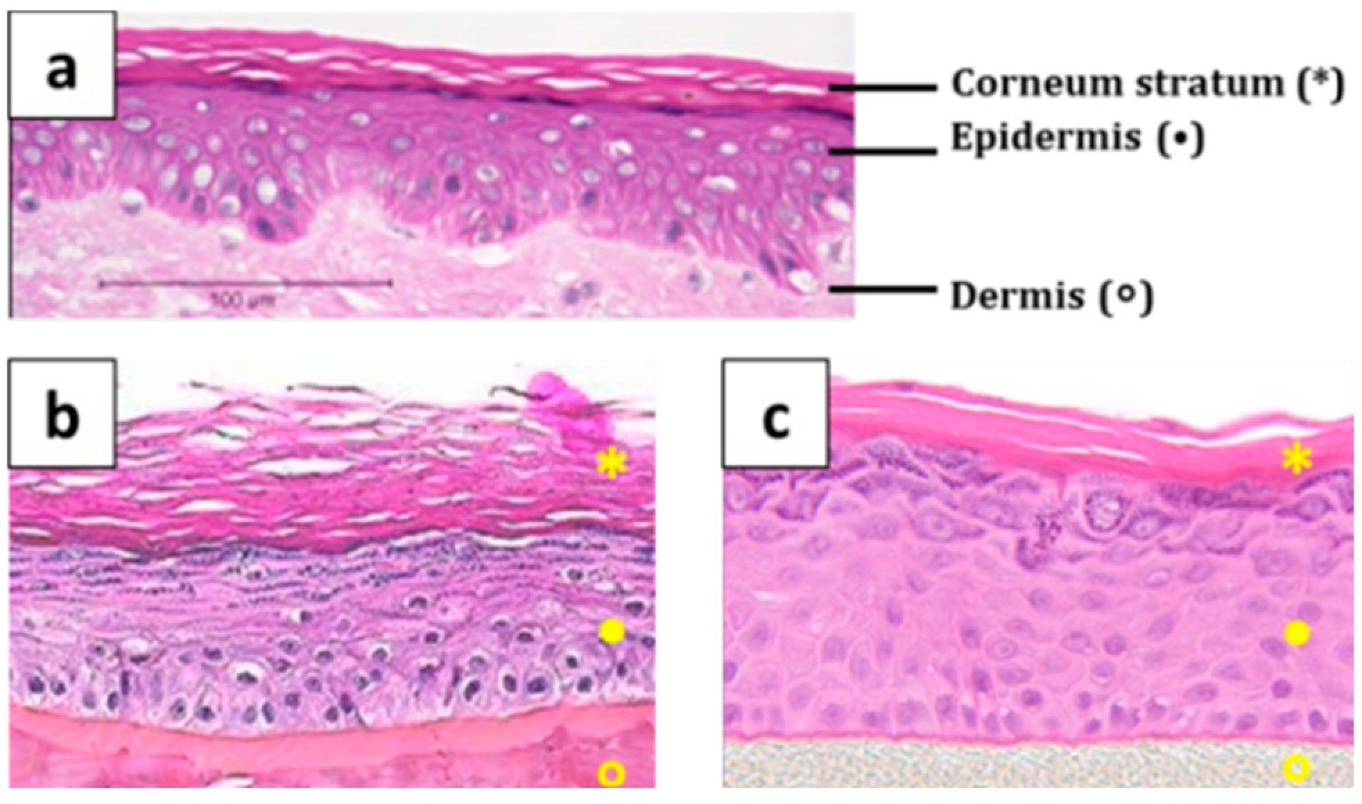Molecules 30 00136 g005