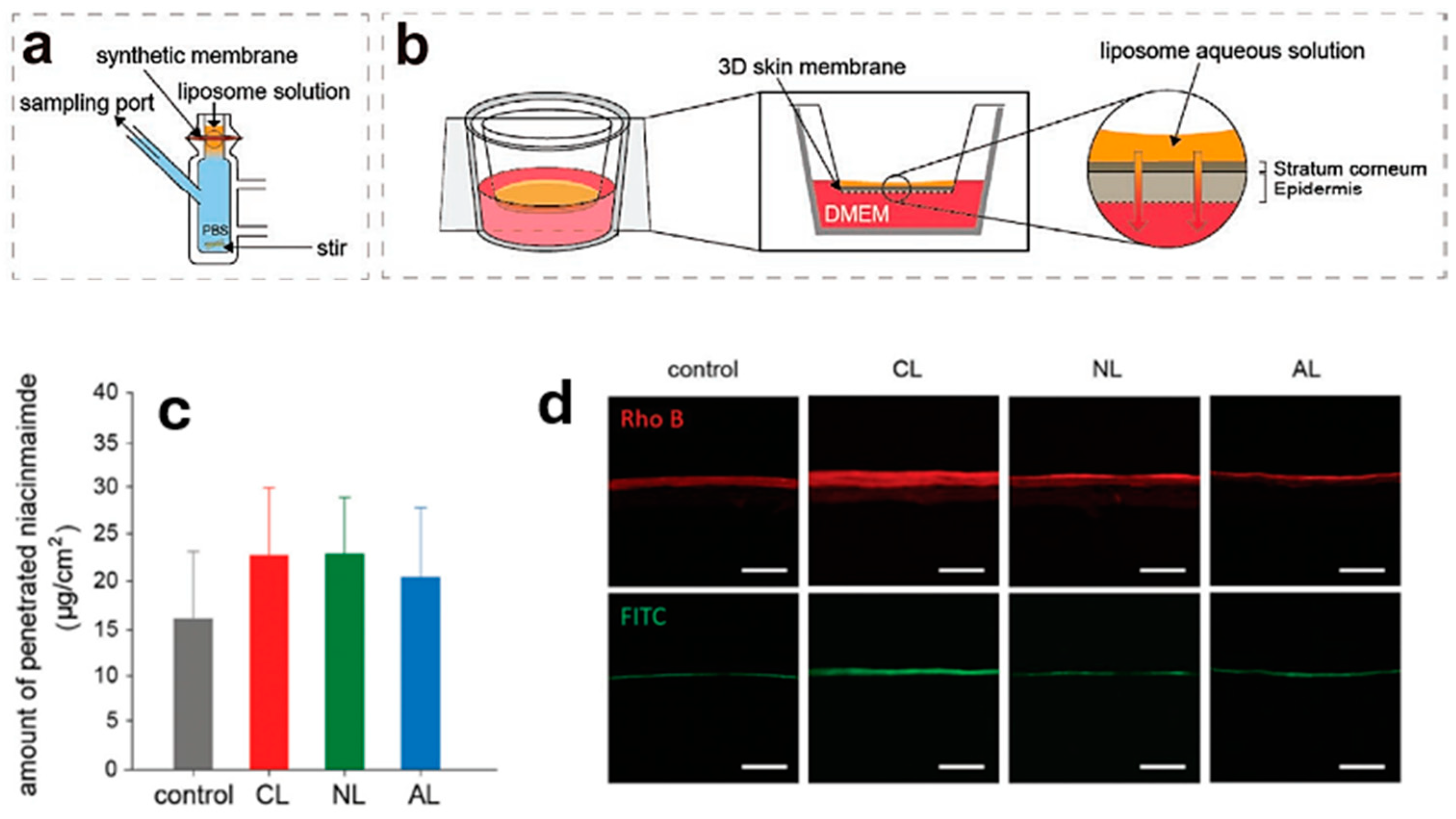 Molecules 30 00136 g008