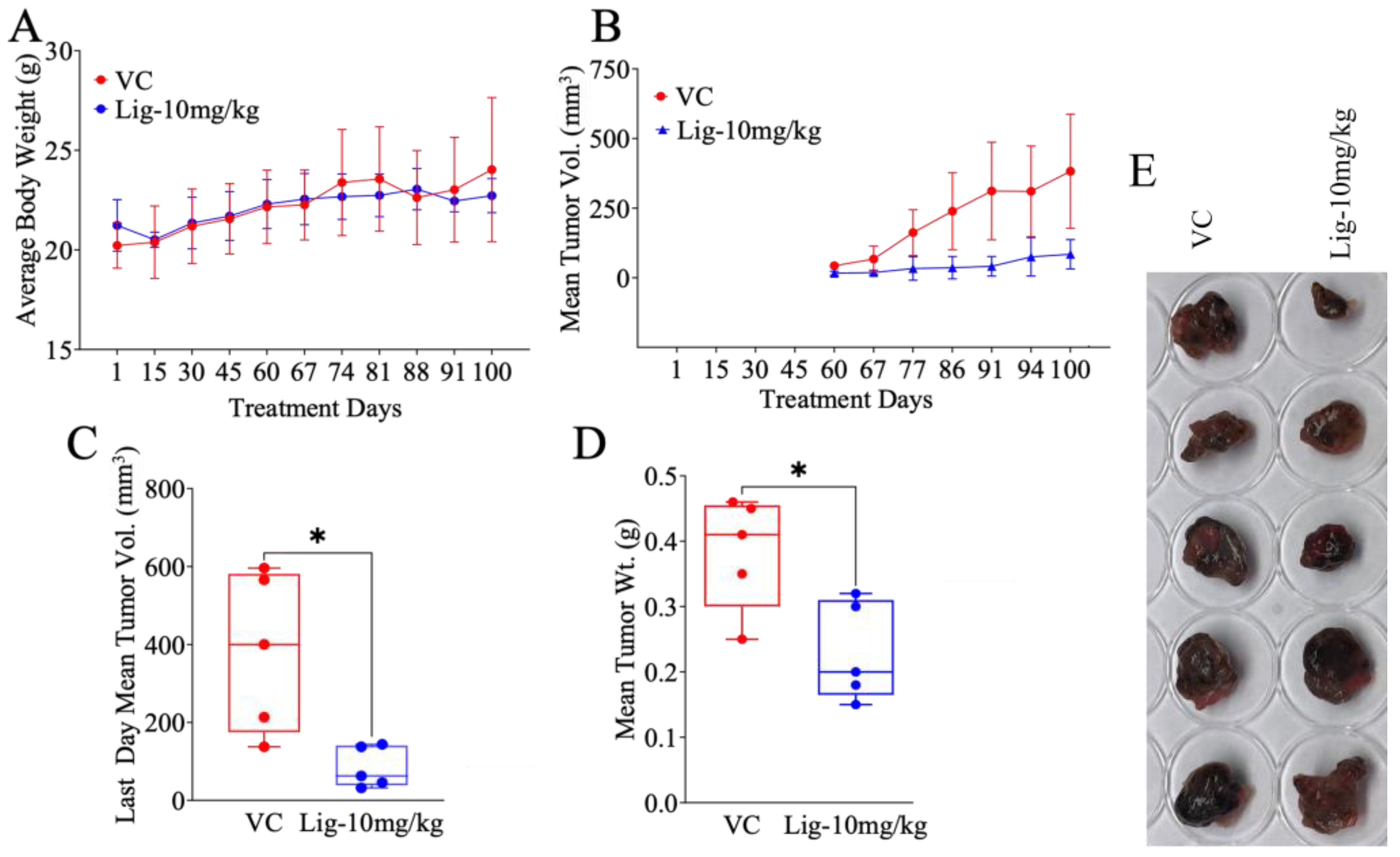Molecules 30 00139 g002