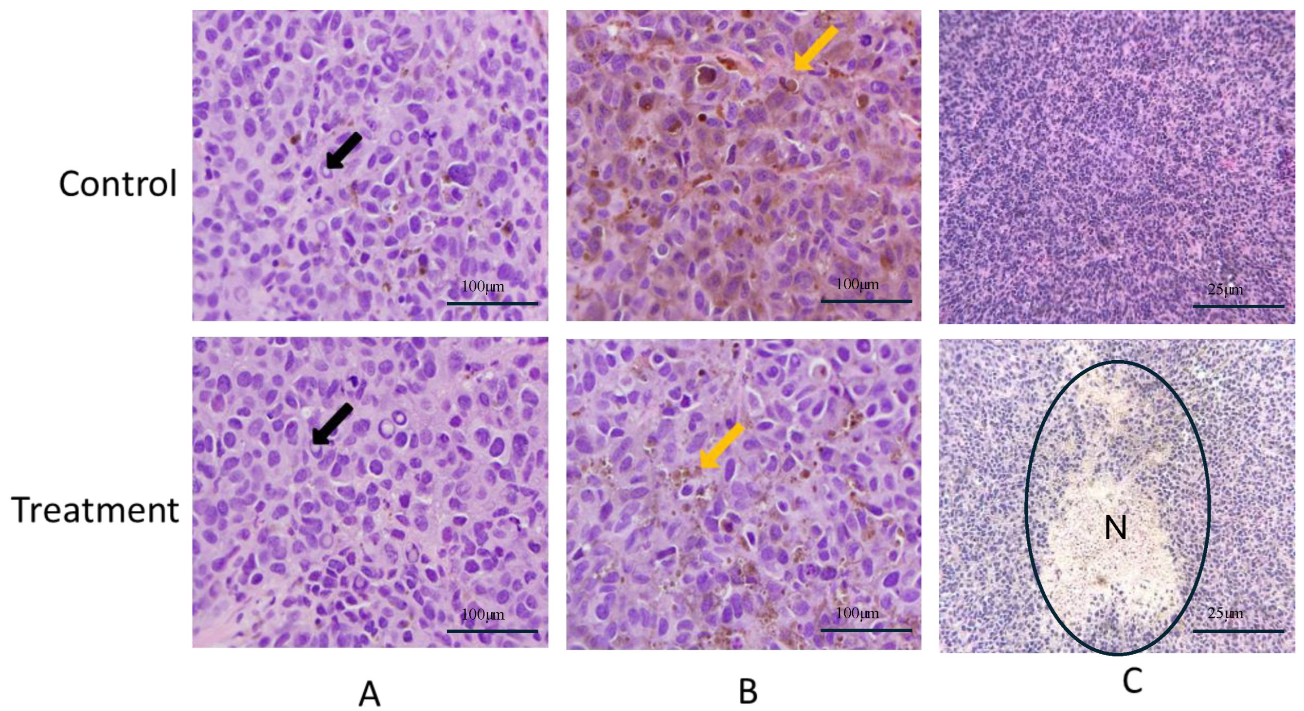 Molecules 30 00139 g003
