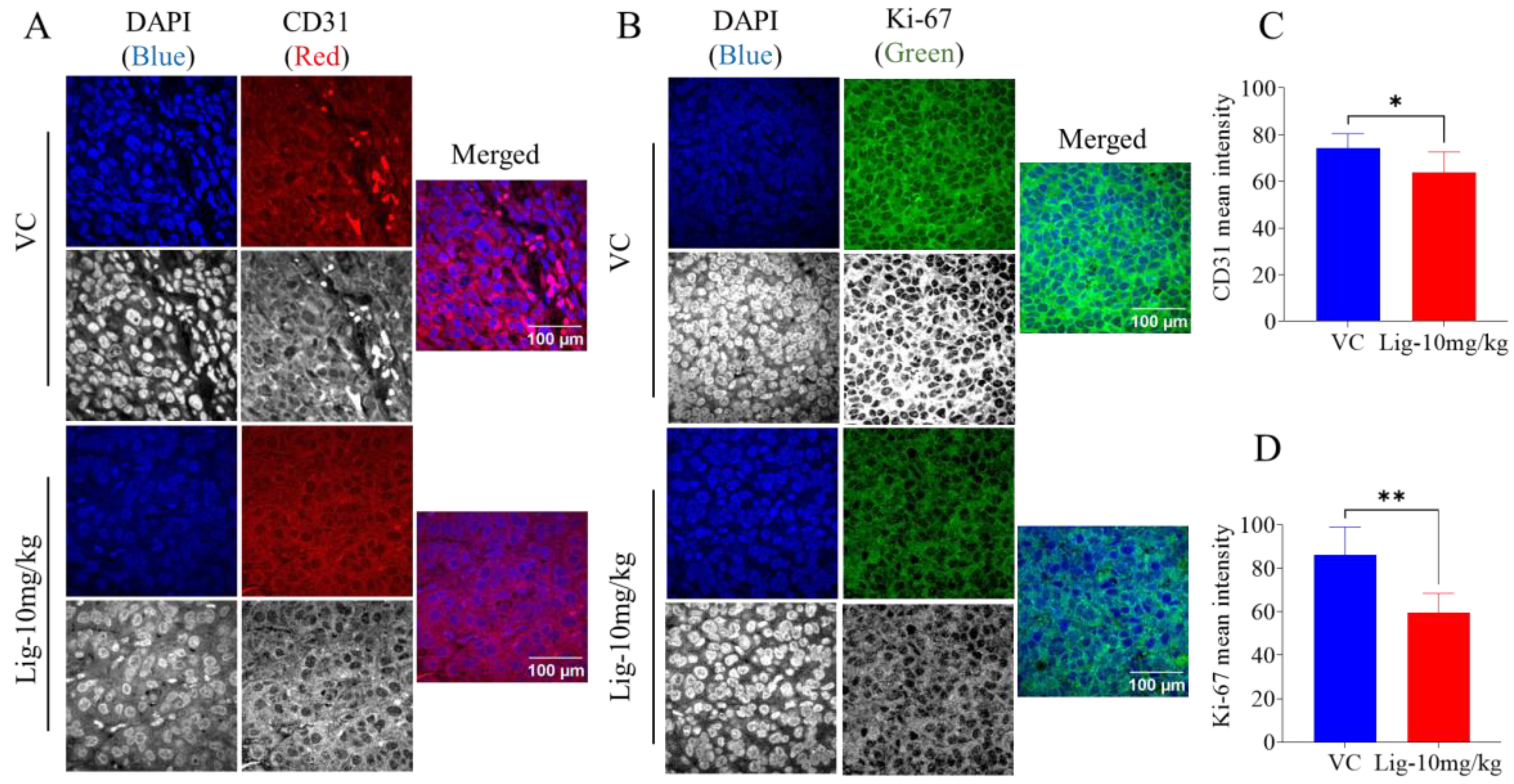 Molecules 30 00139 g004