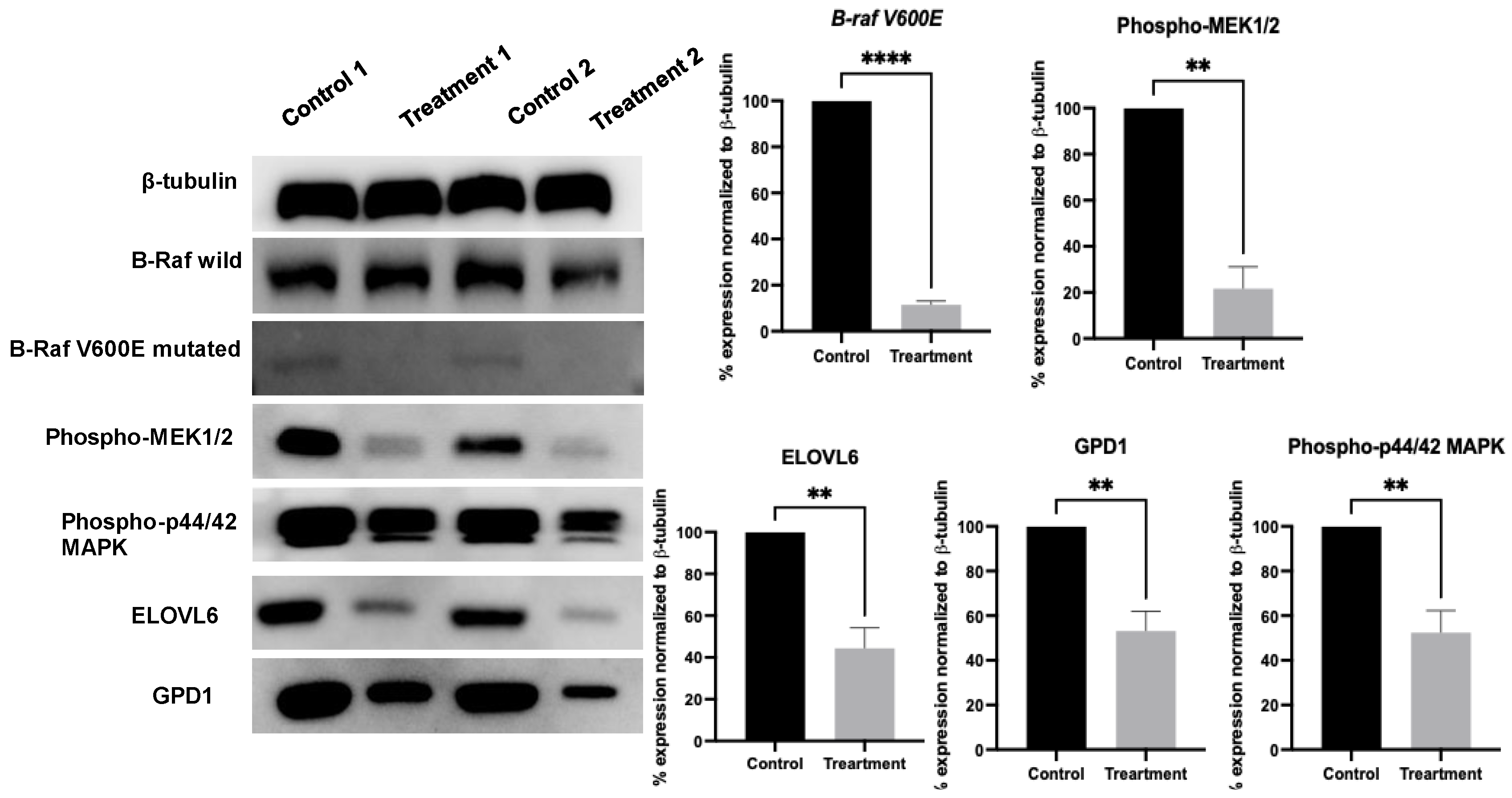 Molecules 30 00139 g006