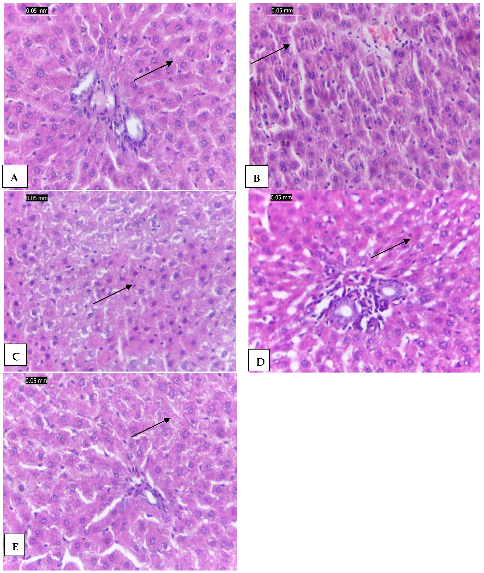 Molecules 30 00143 g007