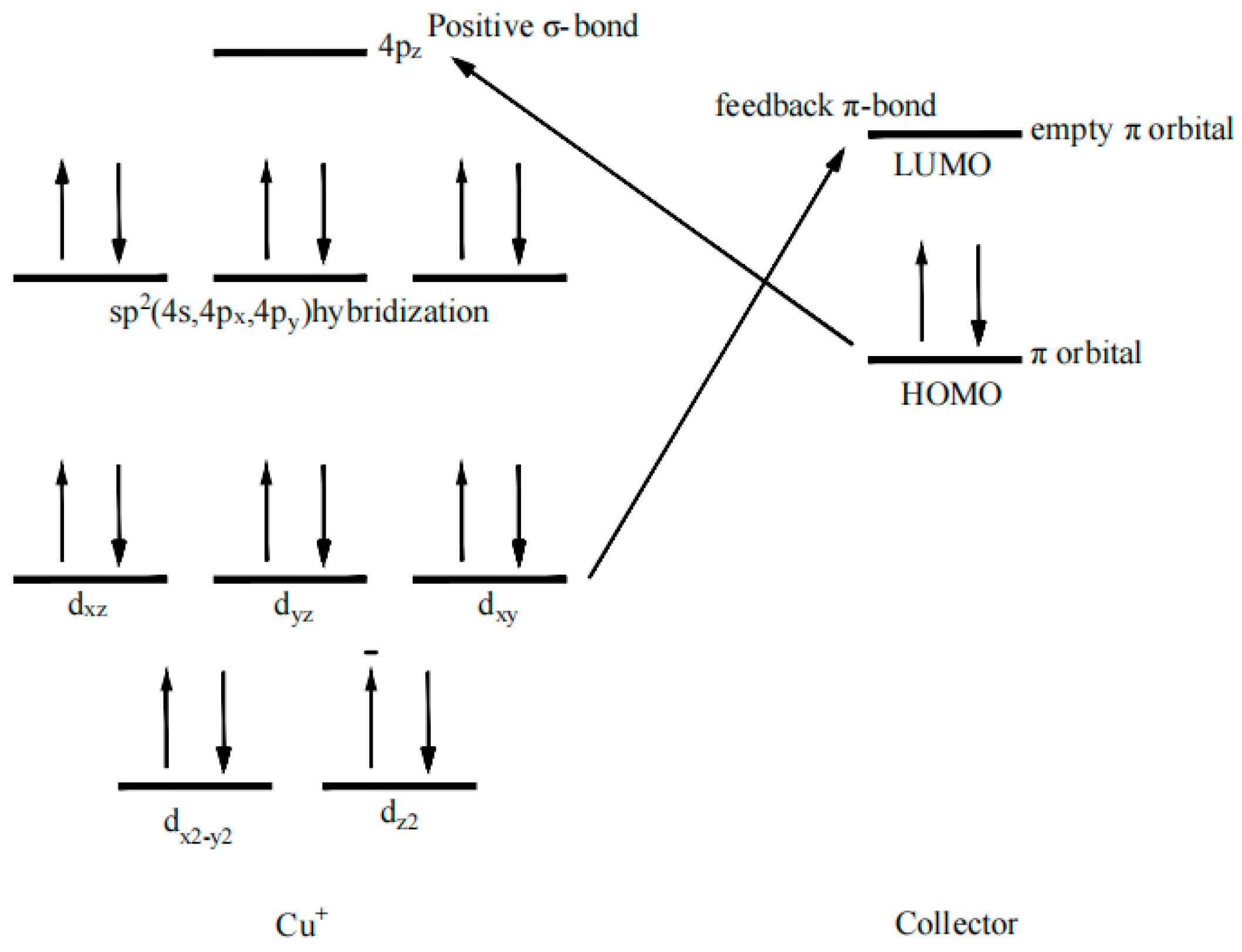 Molecules 30 00147 g006