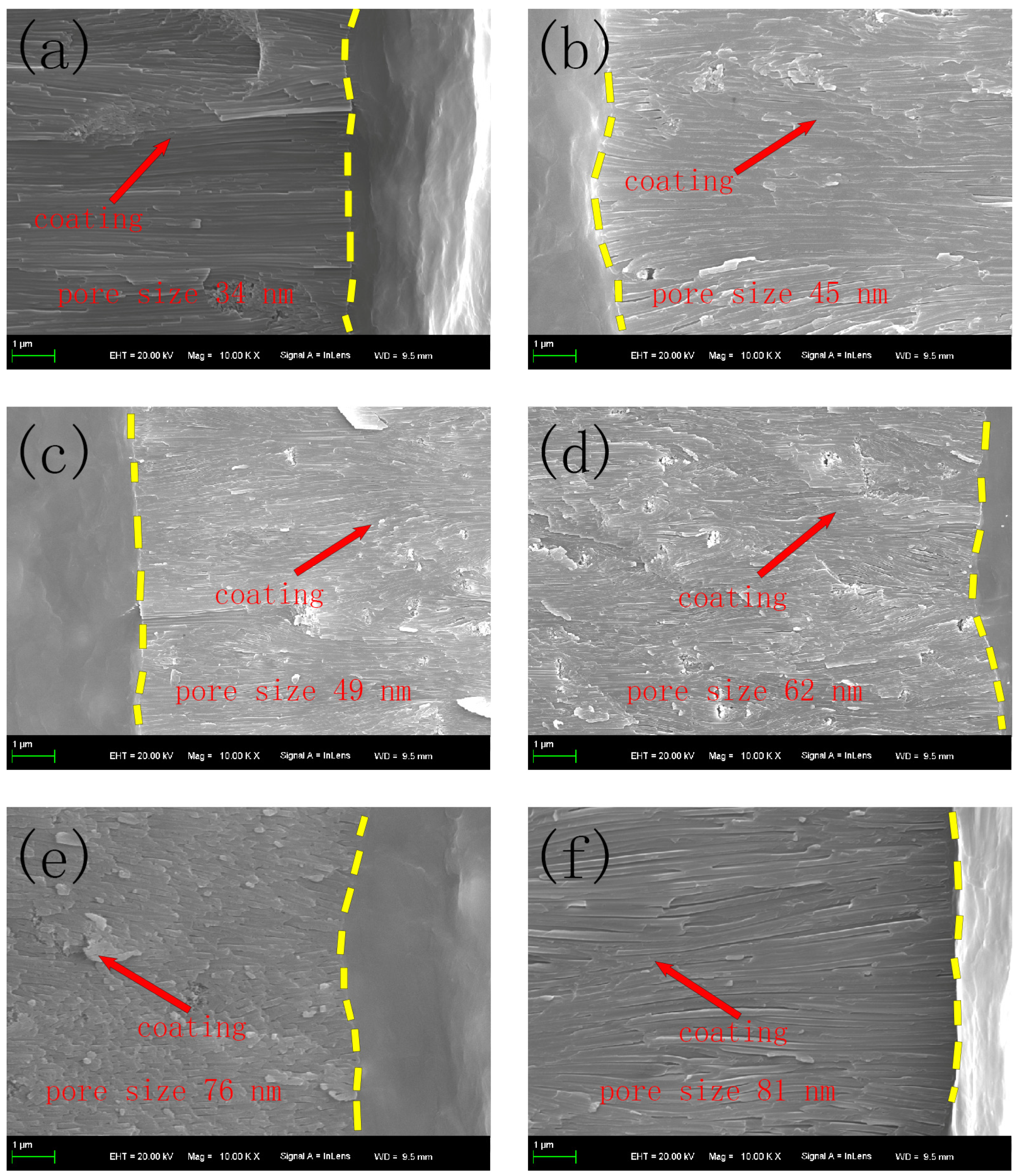 Molecules 30 00153 g003