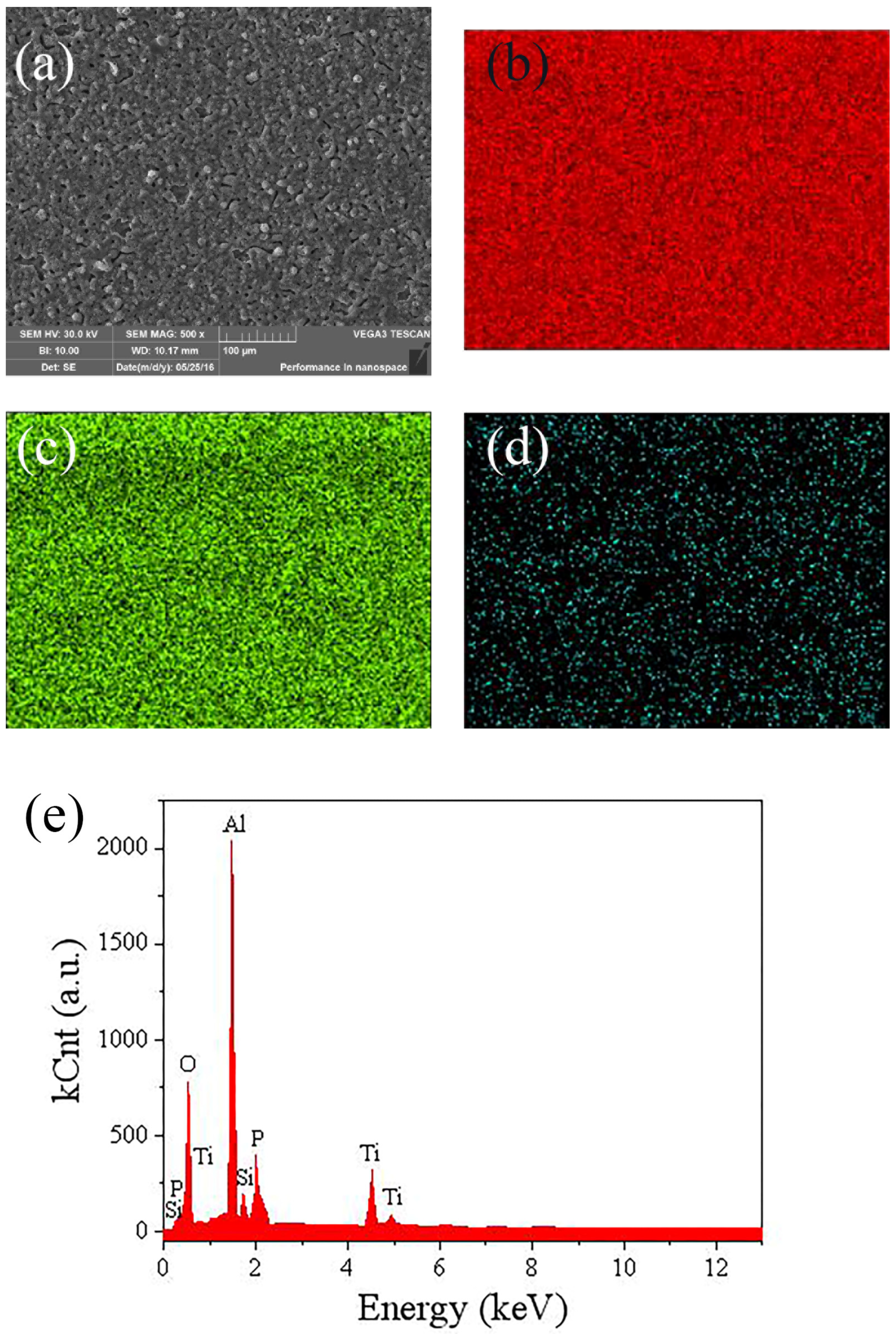 Molecules 30 00153 g004