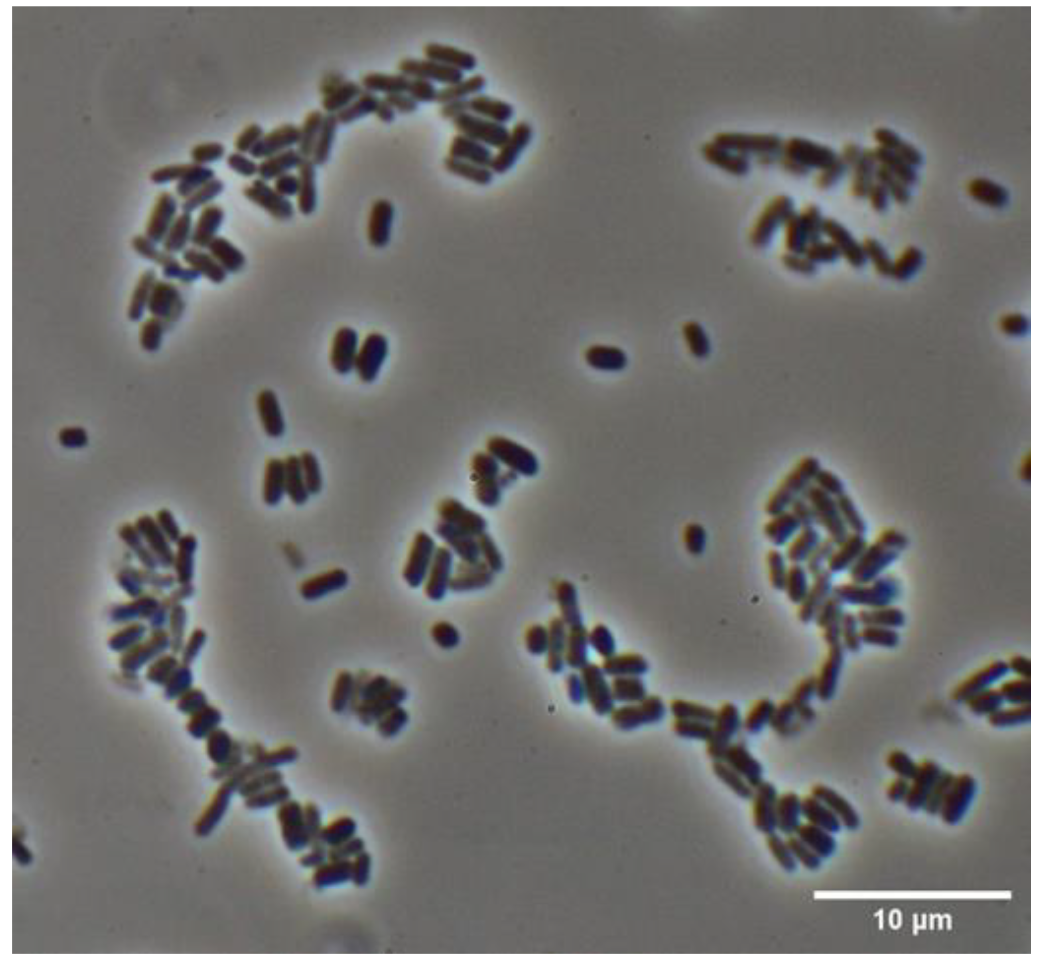 Molecules 30 00155 g001