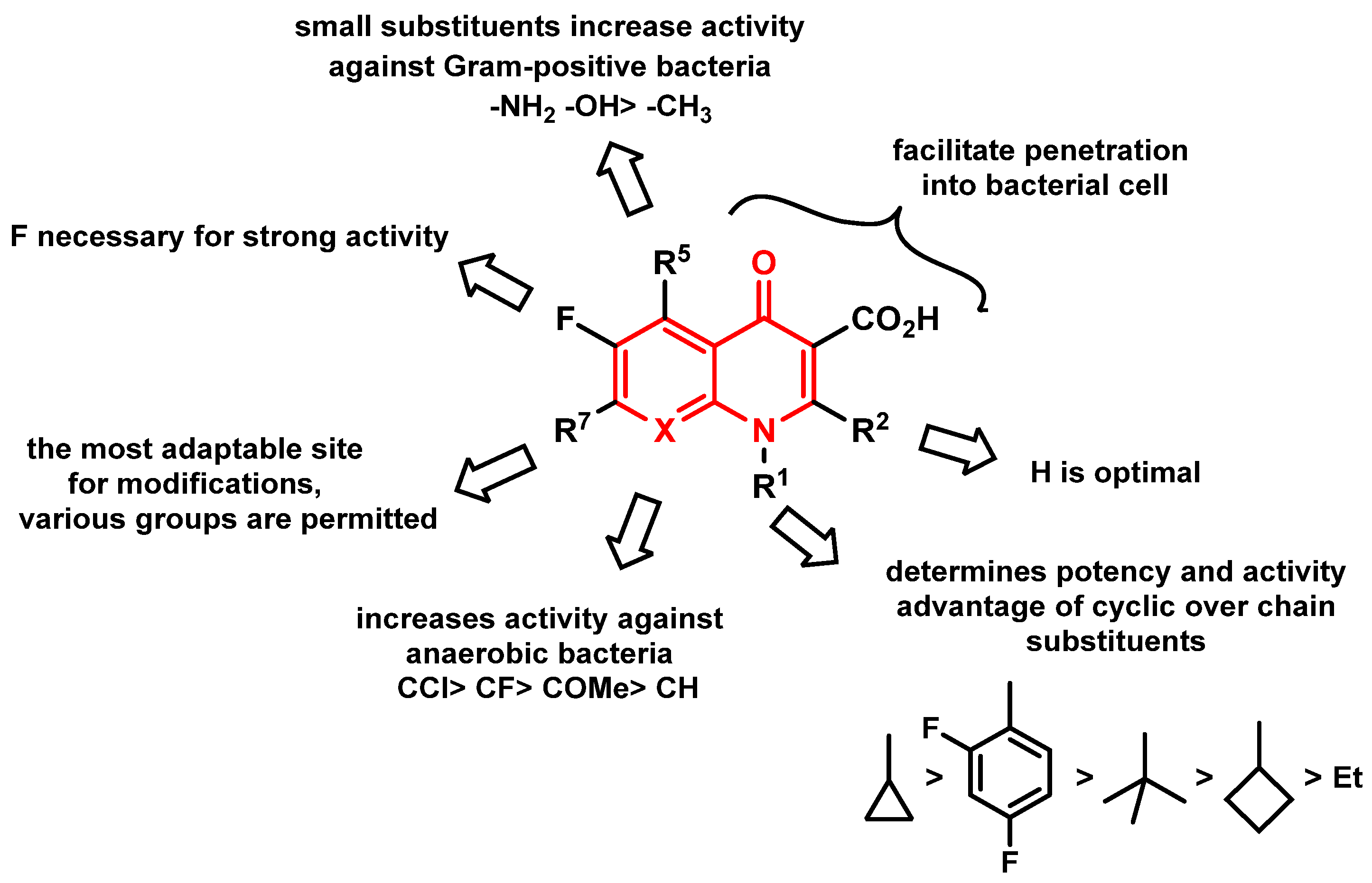 Molecules 30 00163 g006
