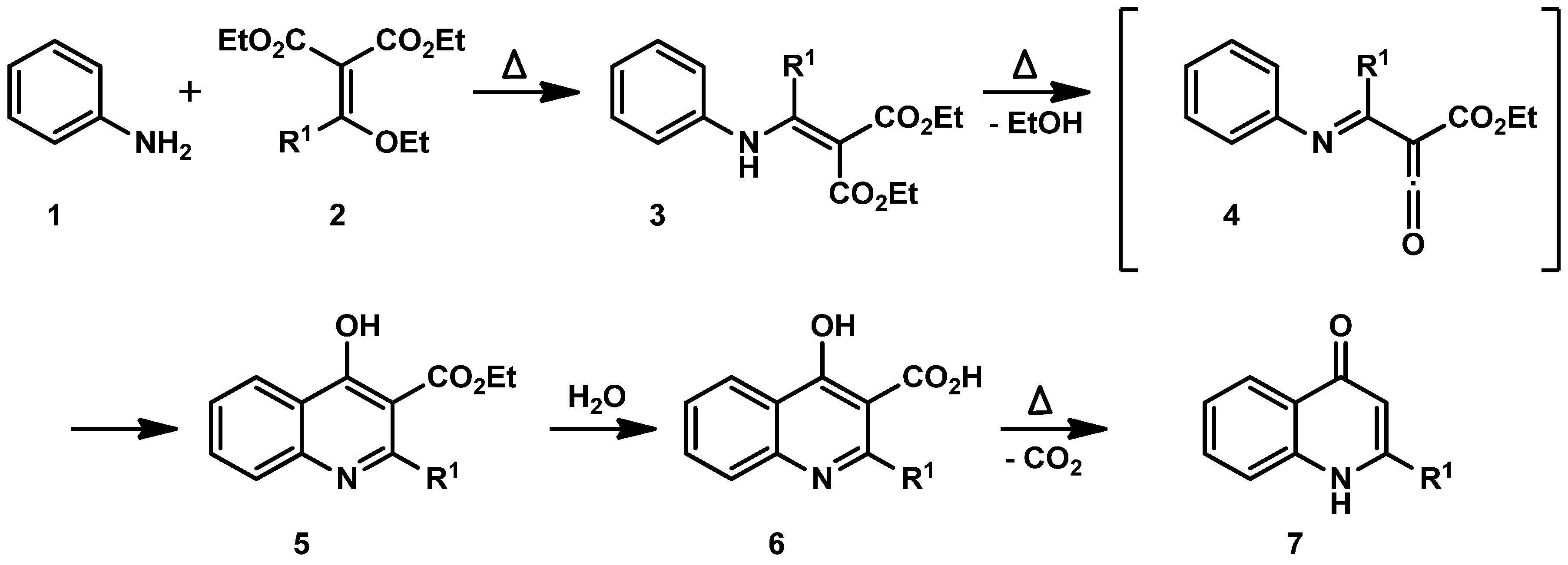 Molecules 30 00163 sch001