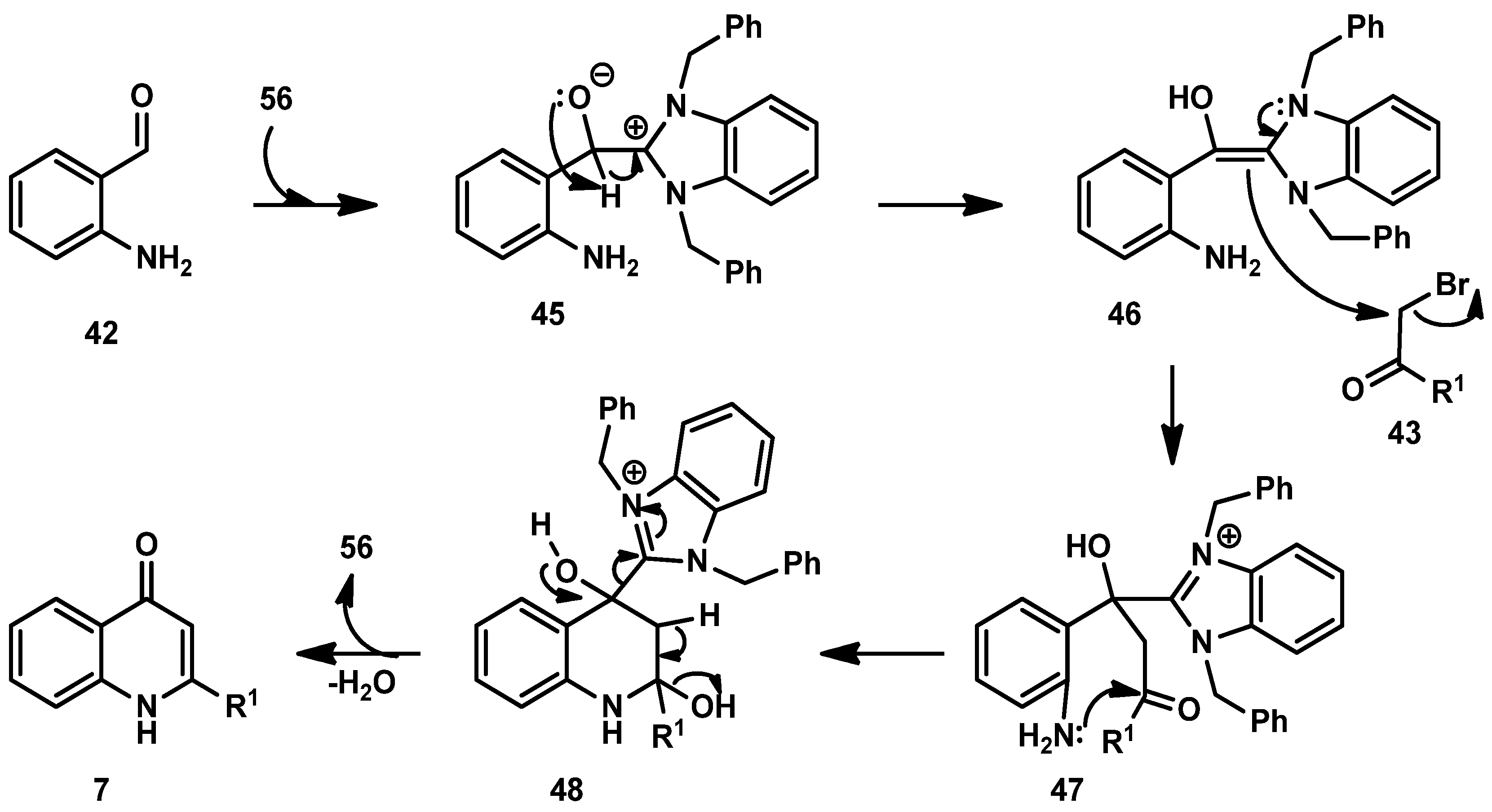 Molecules 30 00163 sch013