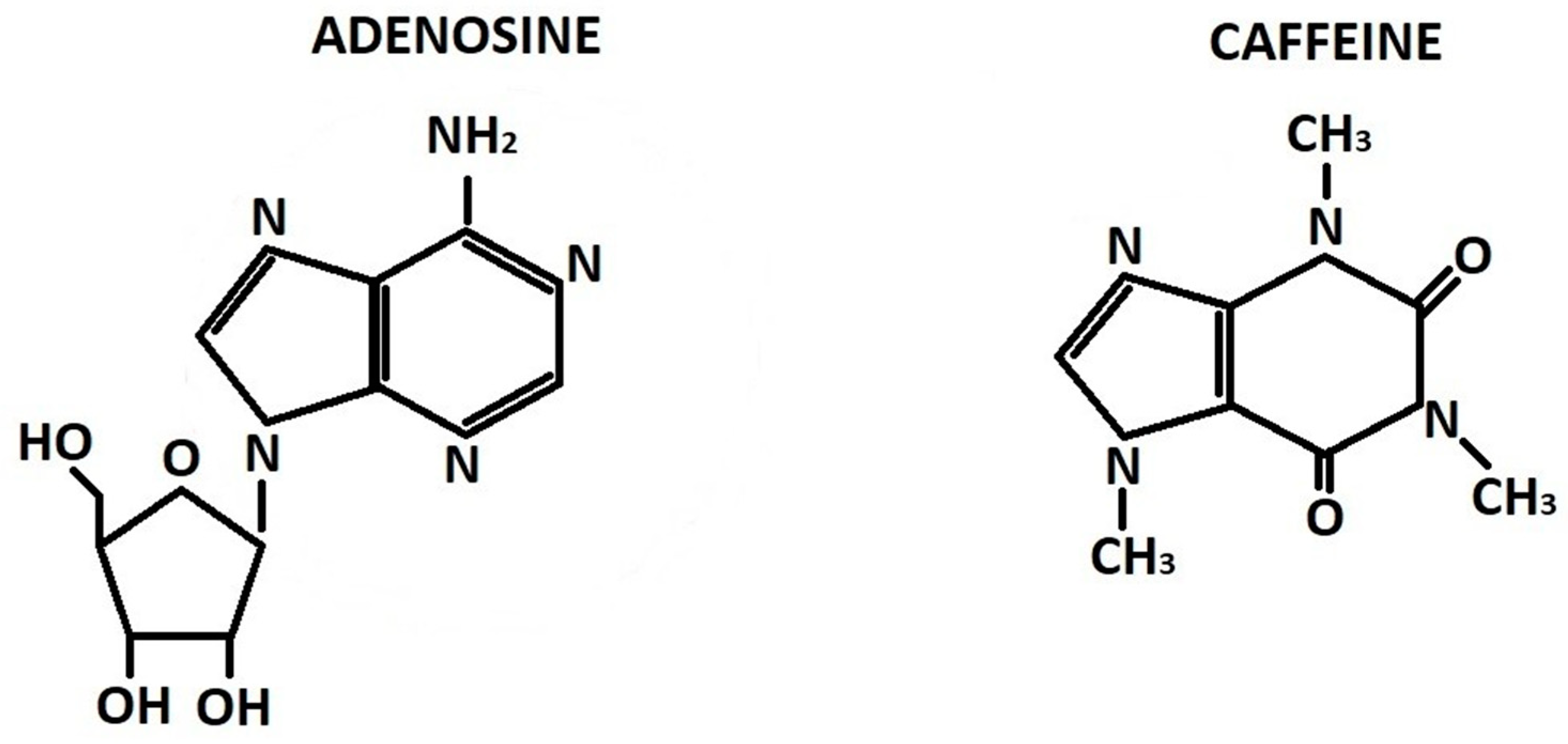 Molecules 30 00167 g001