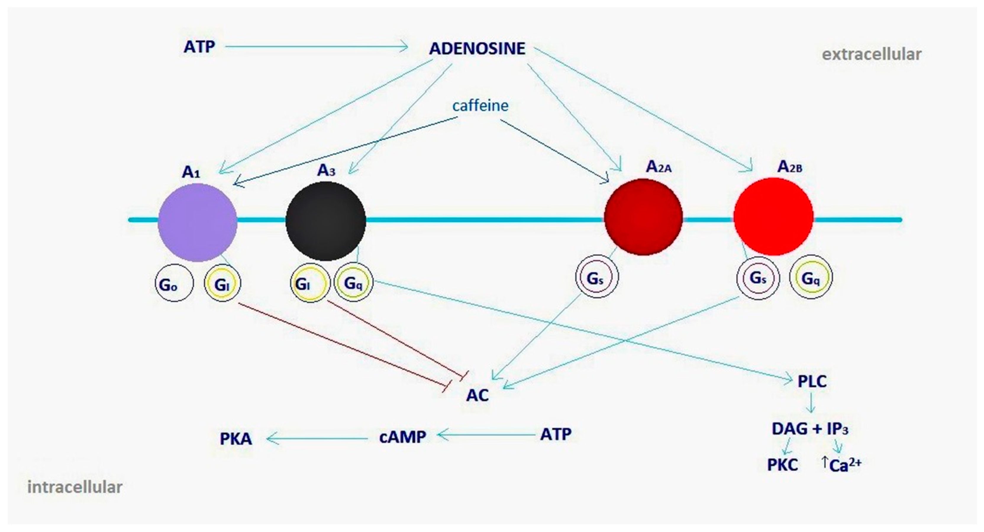 Molecules 30 00167 g002