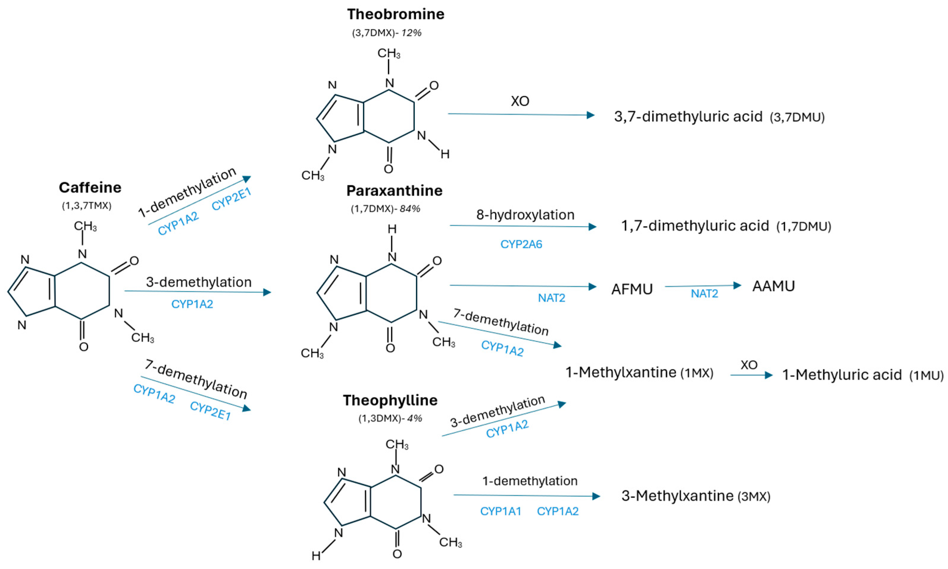 Molecules 30 00167 g003