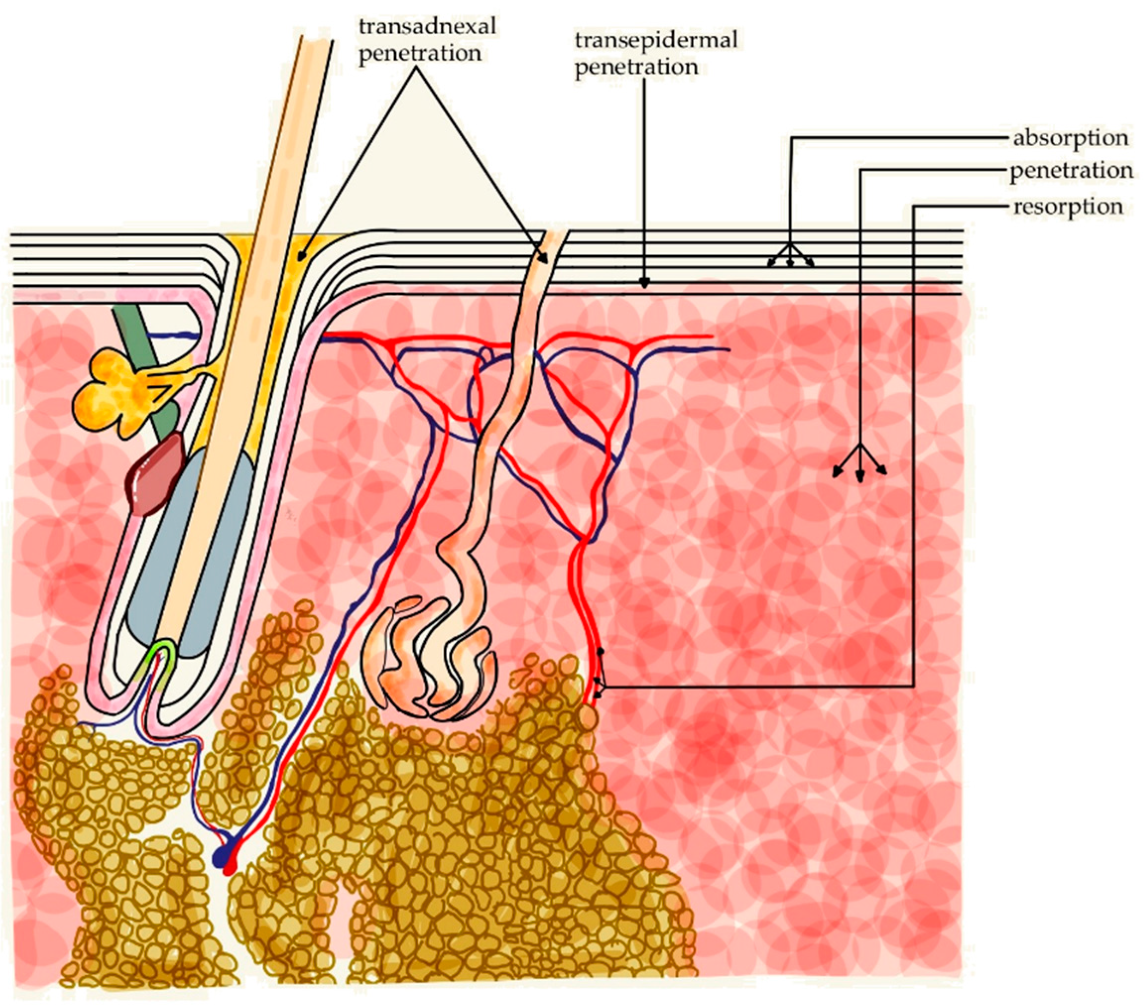Molecules 30 00167 g004