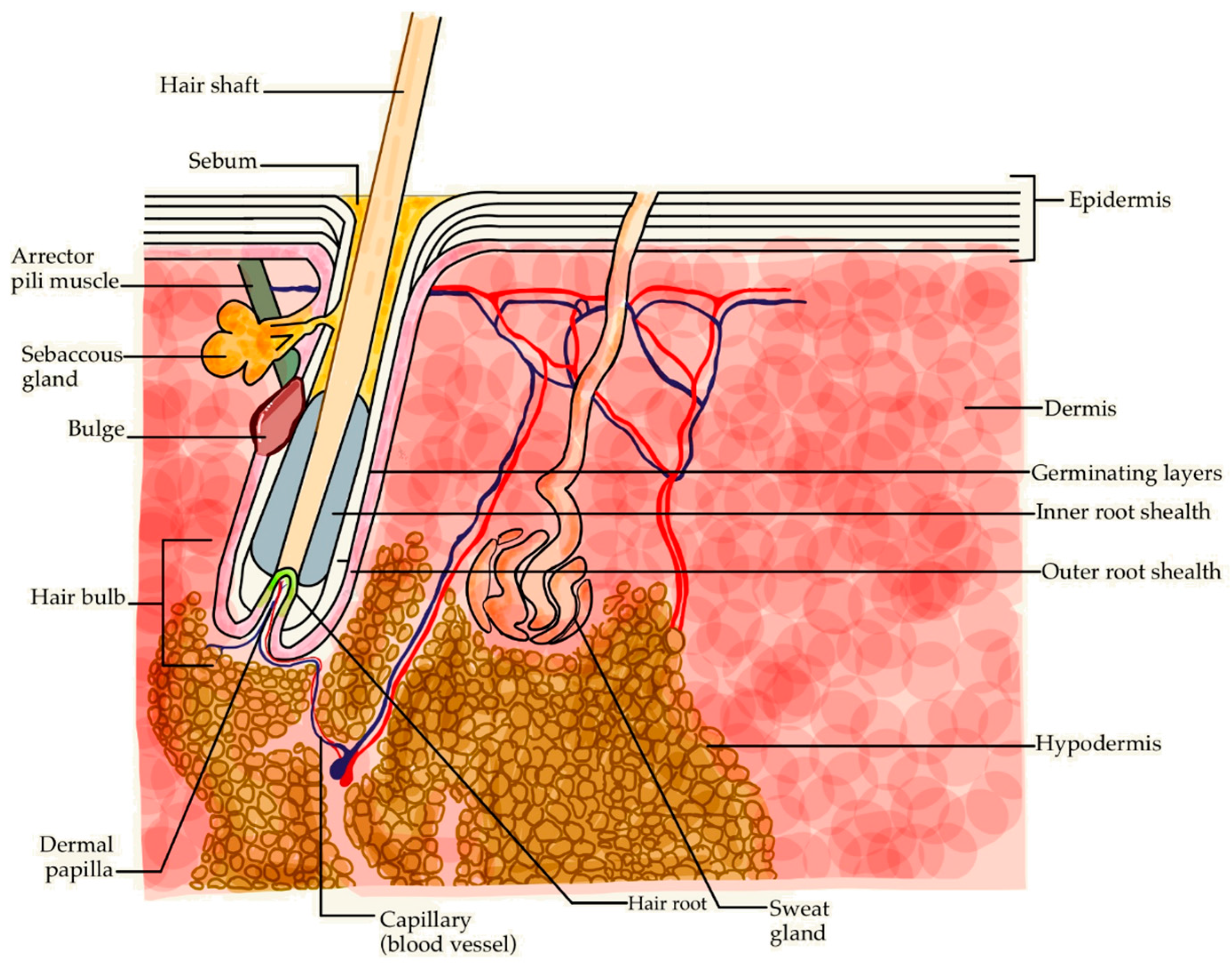Molecules 30 00167 g005