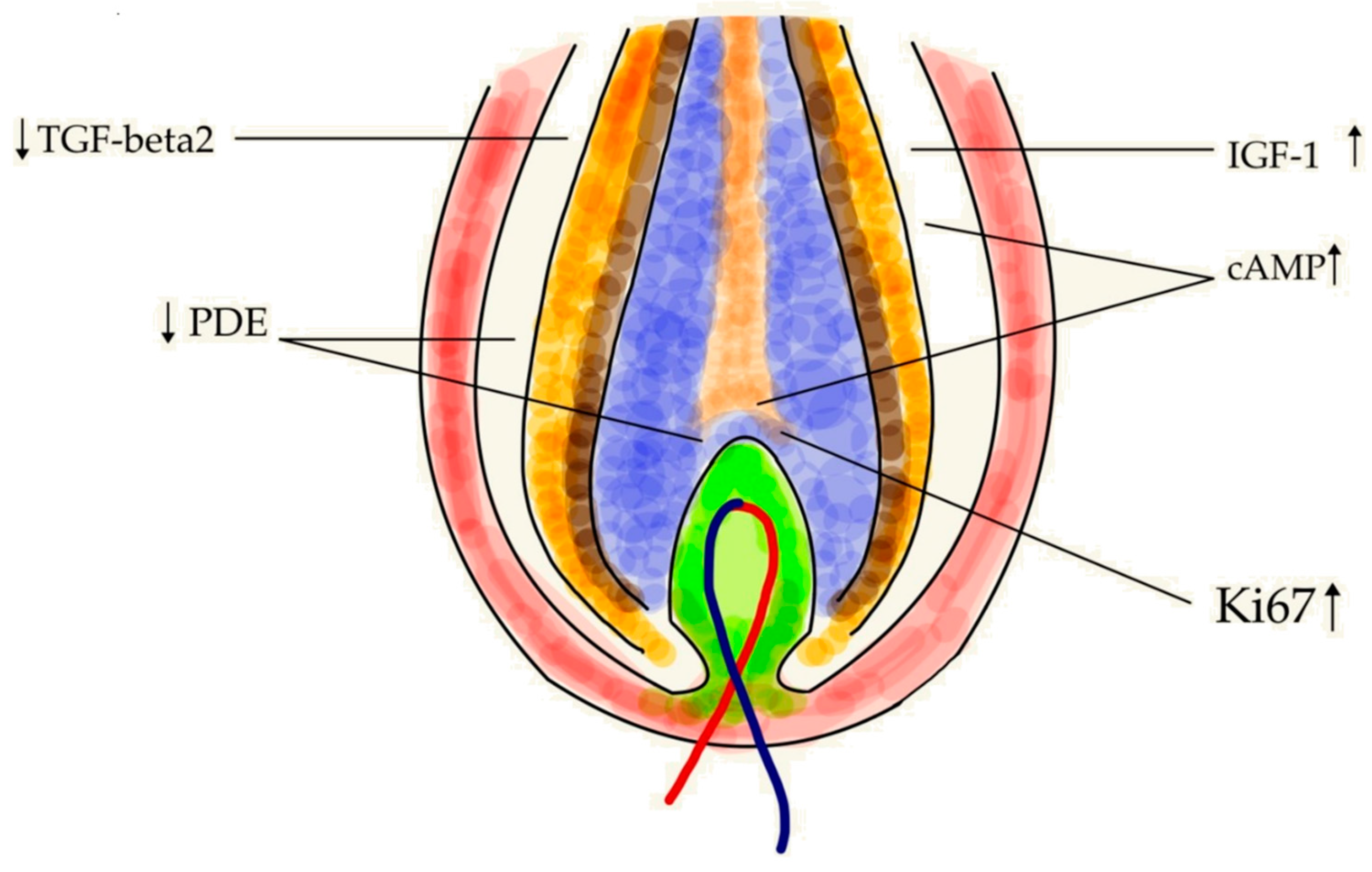 Molecules 30 00167 g006