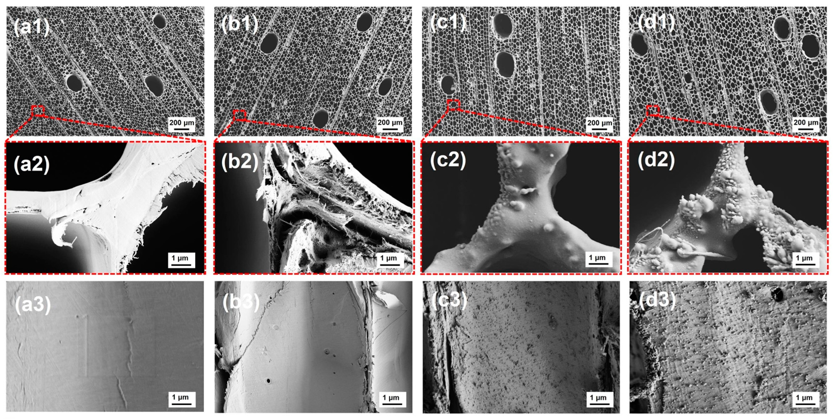 Molecules 30 00168 g003 Molecules 30 00168 g003