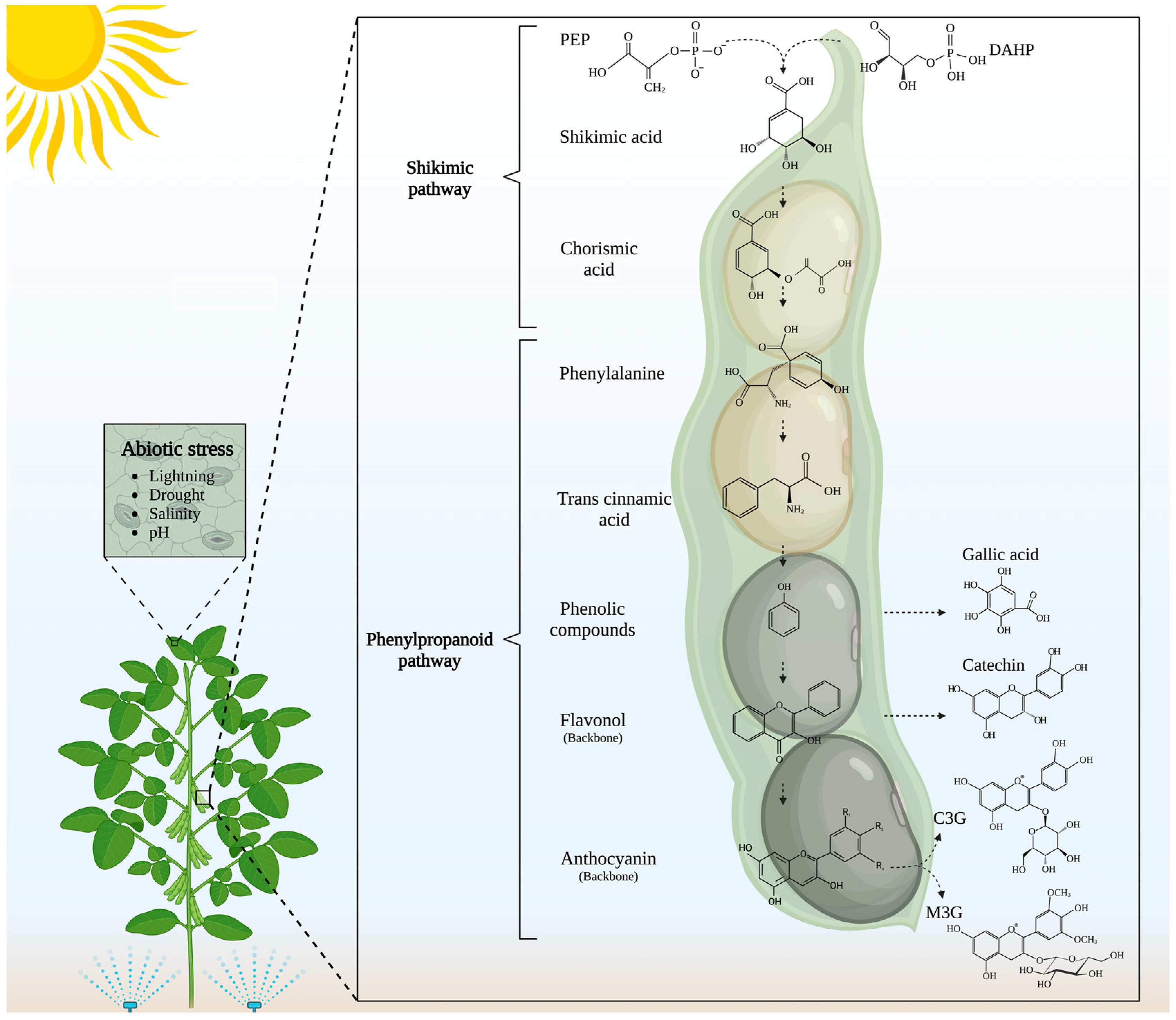 Molecules 30 00174 g001