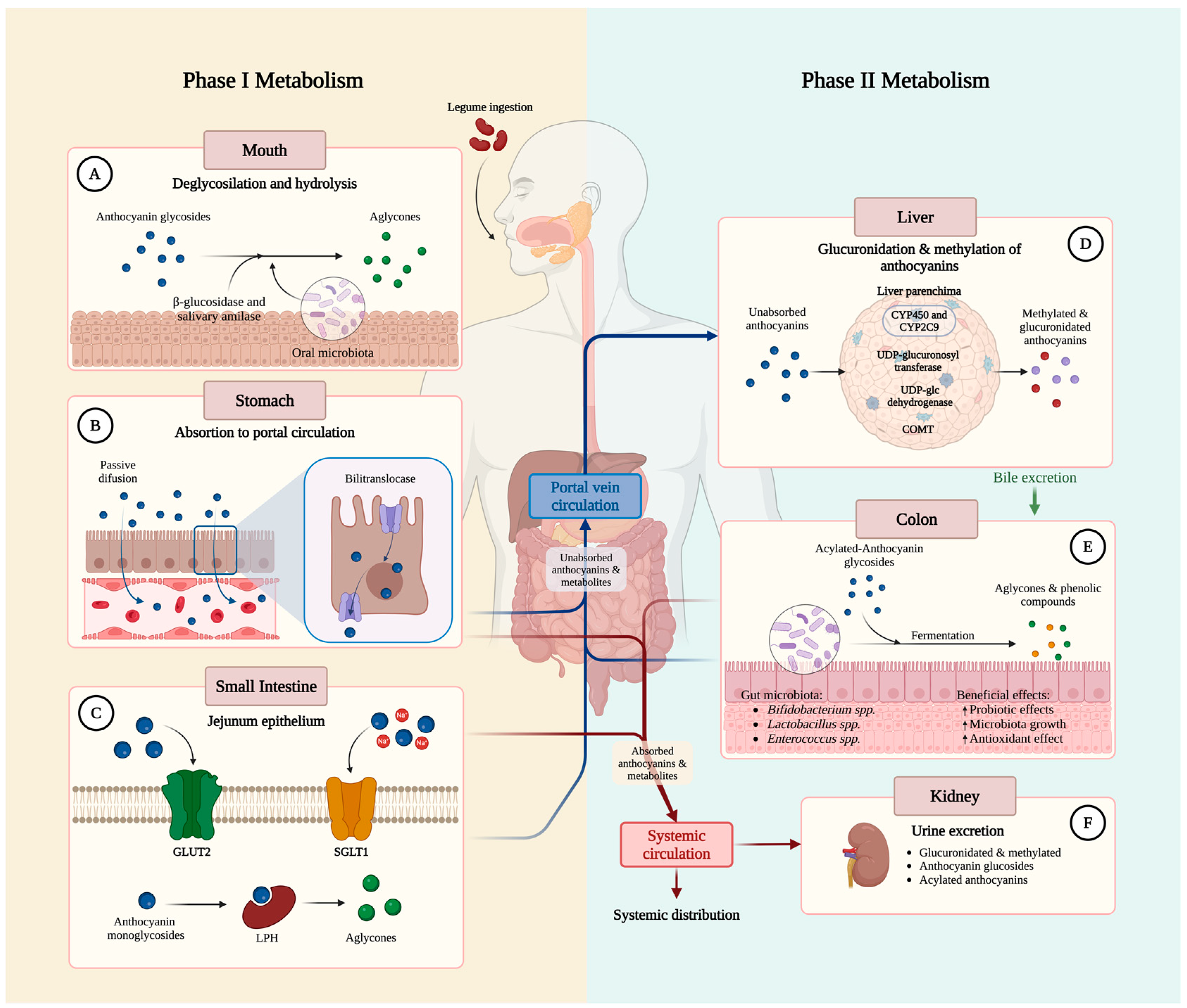 Molecules 30 00174 g002