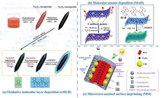 Molecules 30 00179 g008