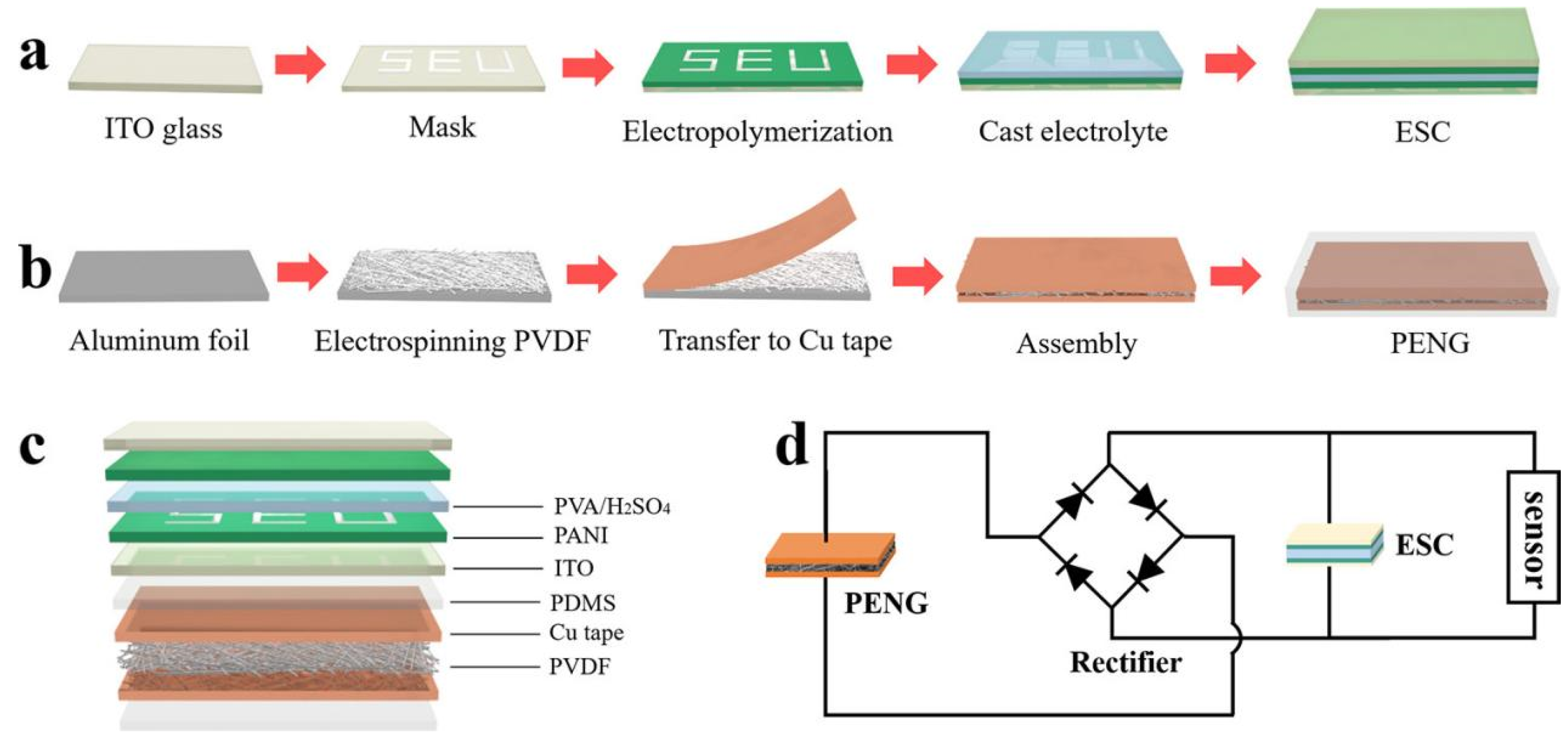 Molecules 30 00182 g006