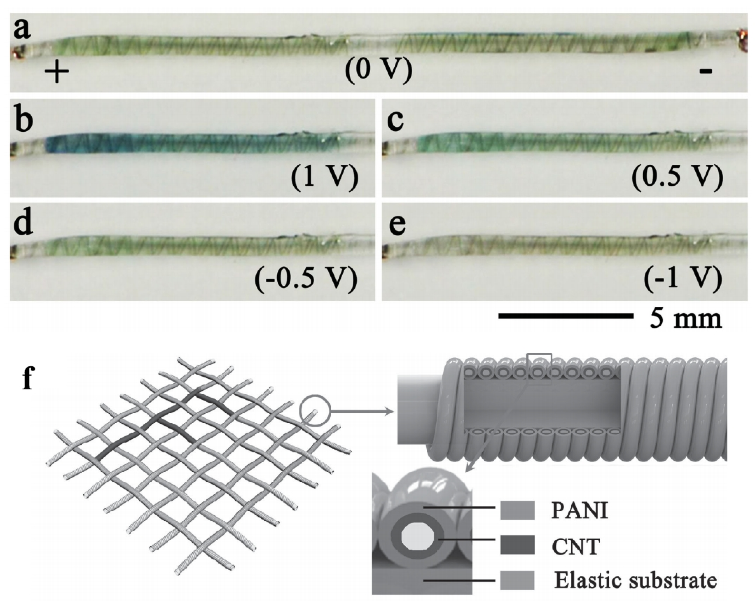 Molecules 30 00182 g007