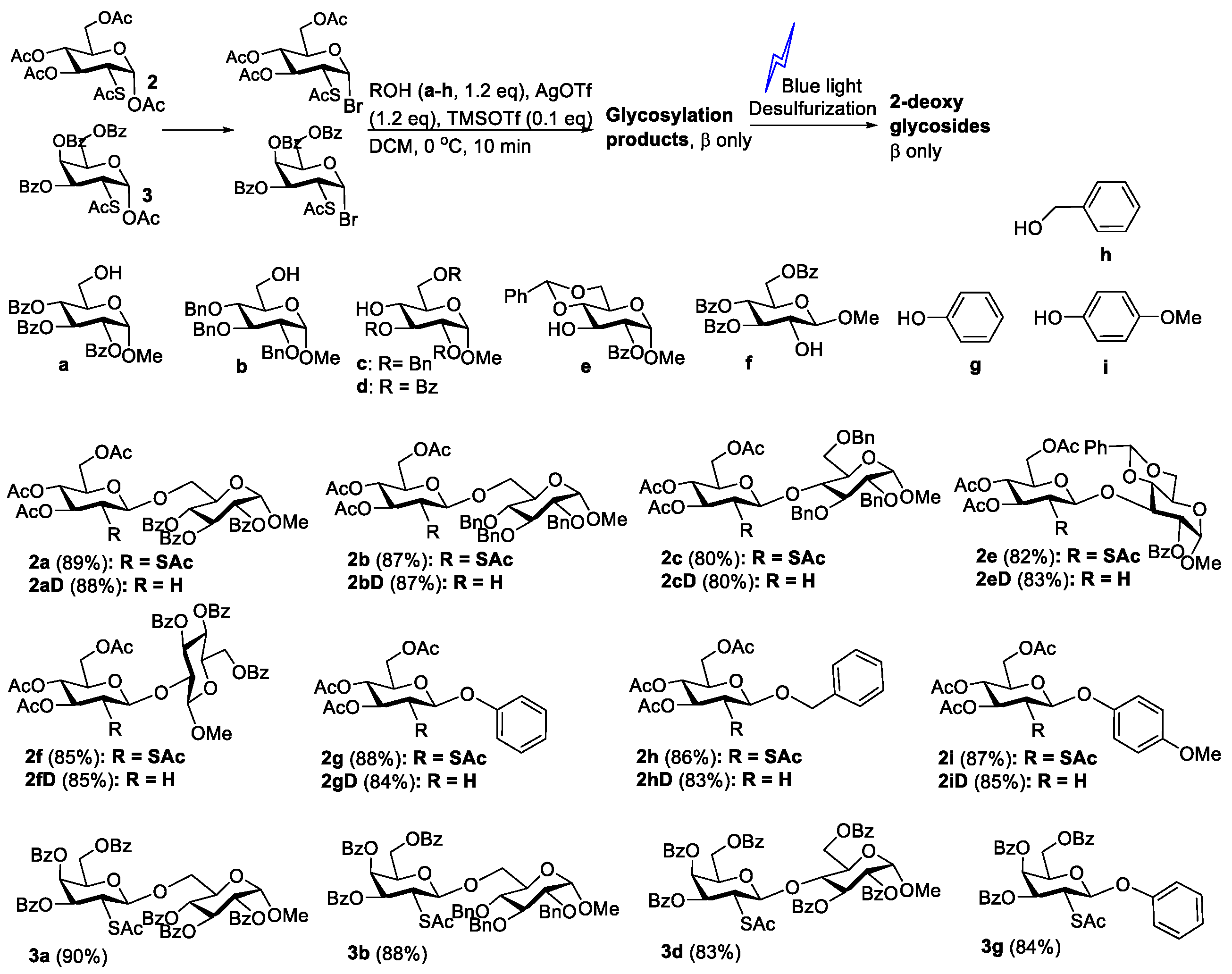 Molecules 30 00185 g001