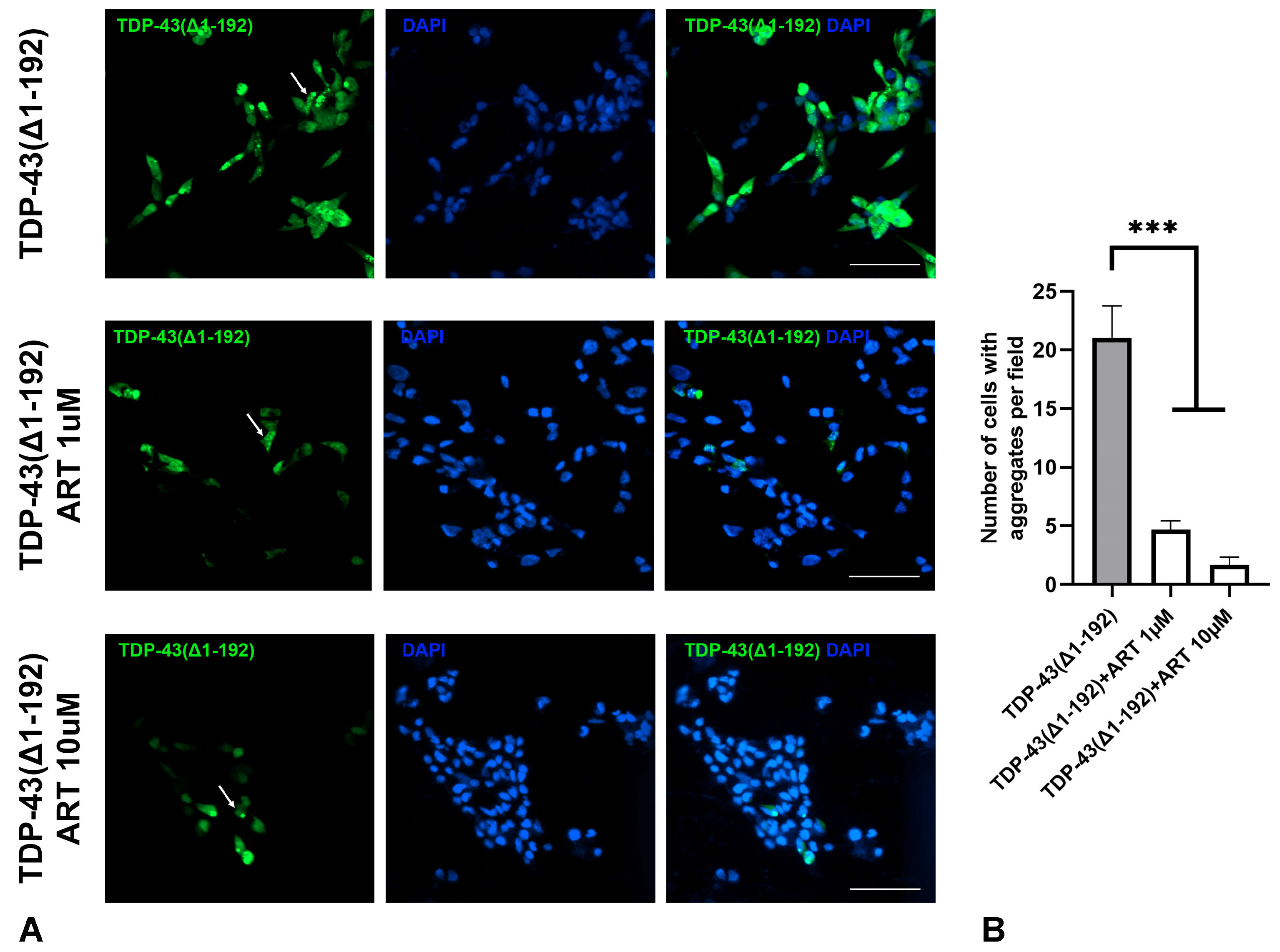 Molecules 30 00198 g006