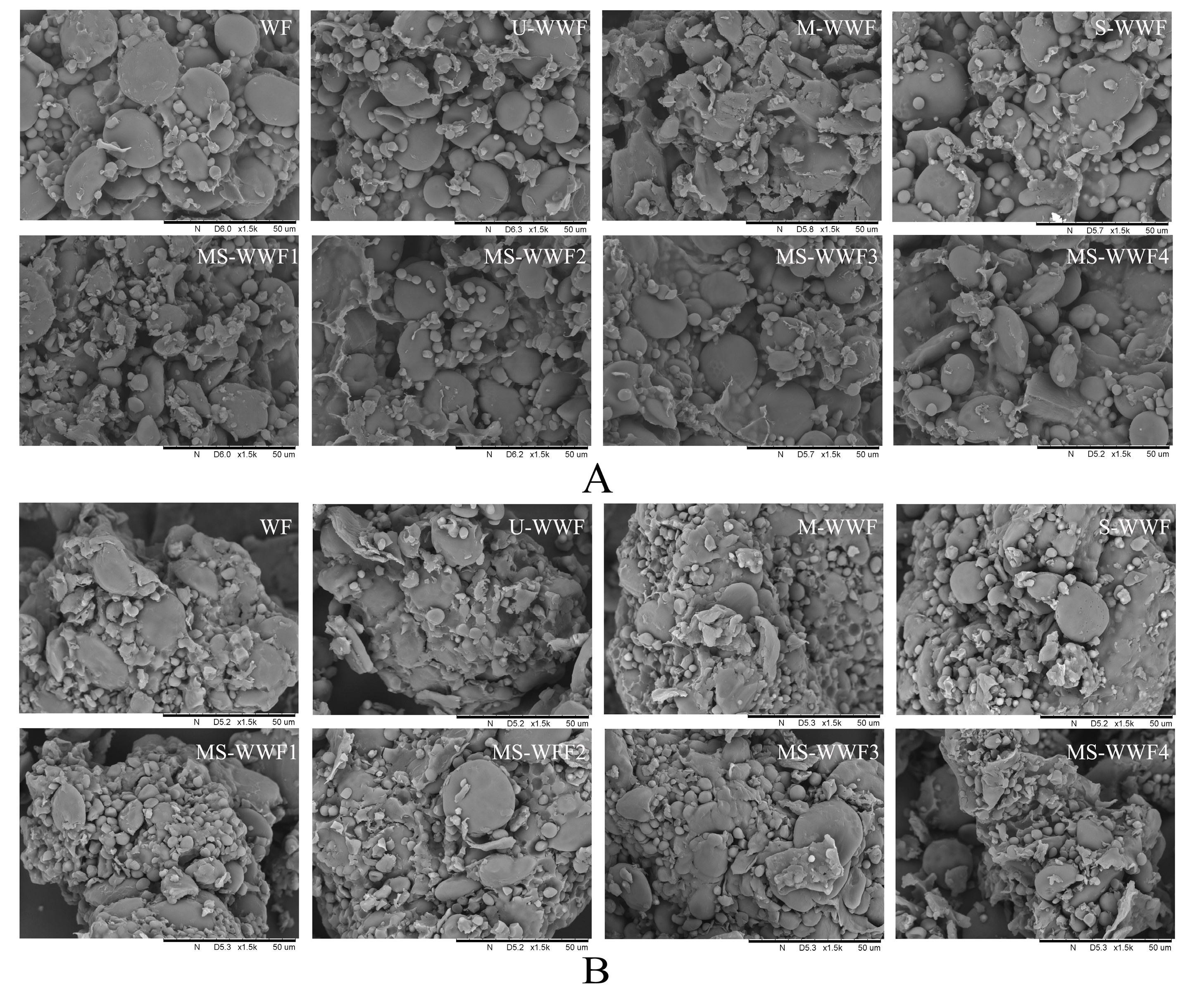 Molecules 30 00203 g001