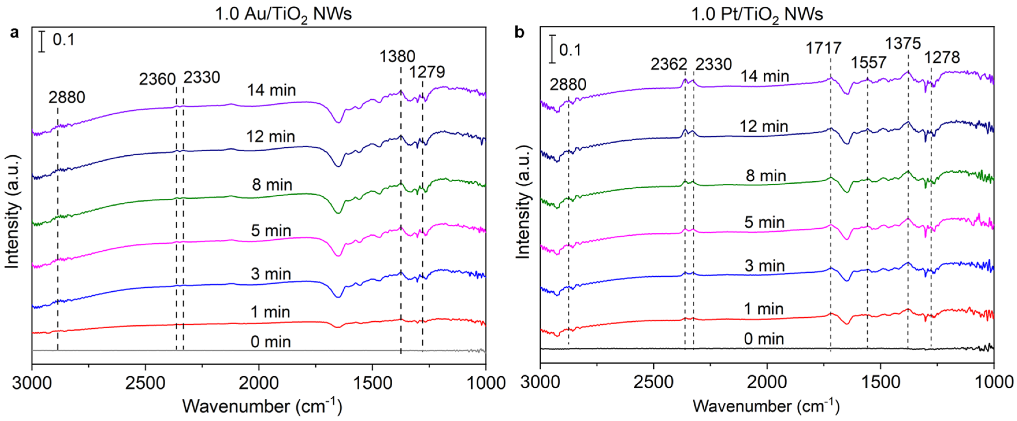 Molecules 30 00206 g005