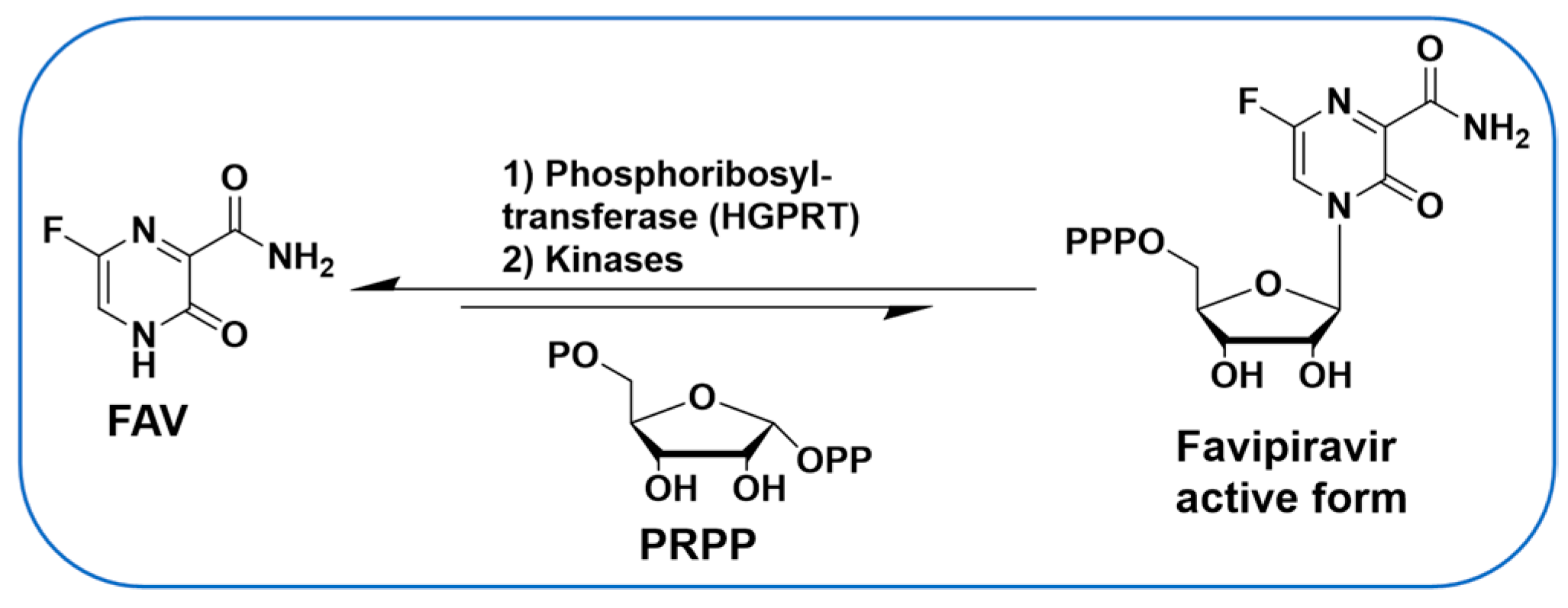 Molecules 30 00210 g001