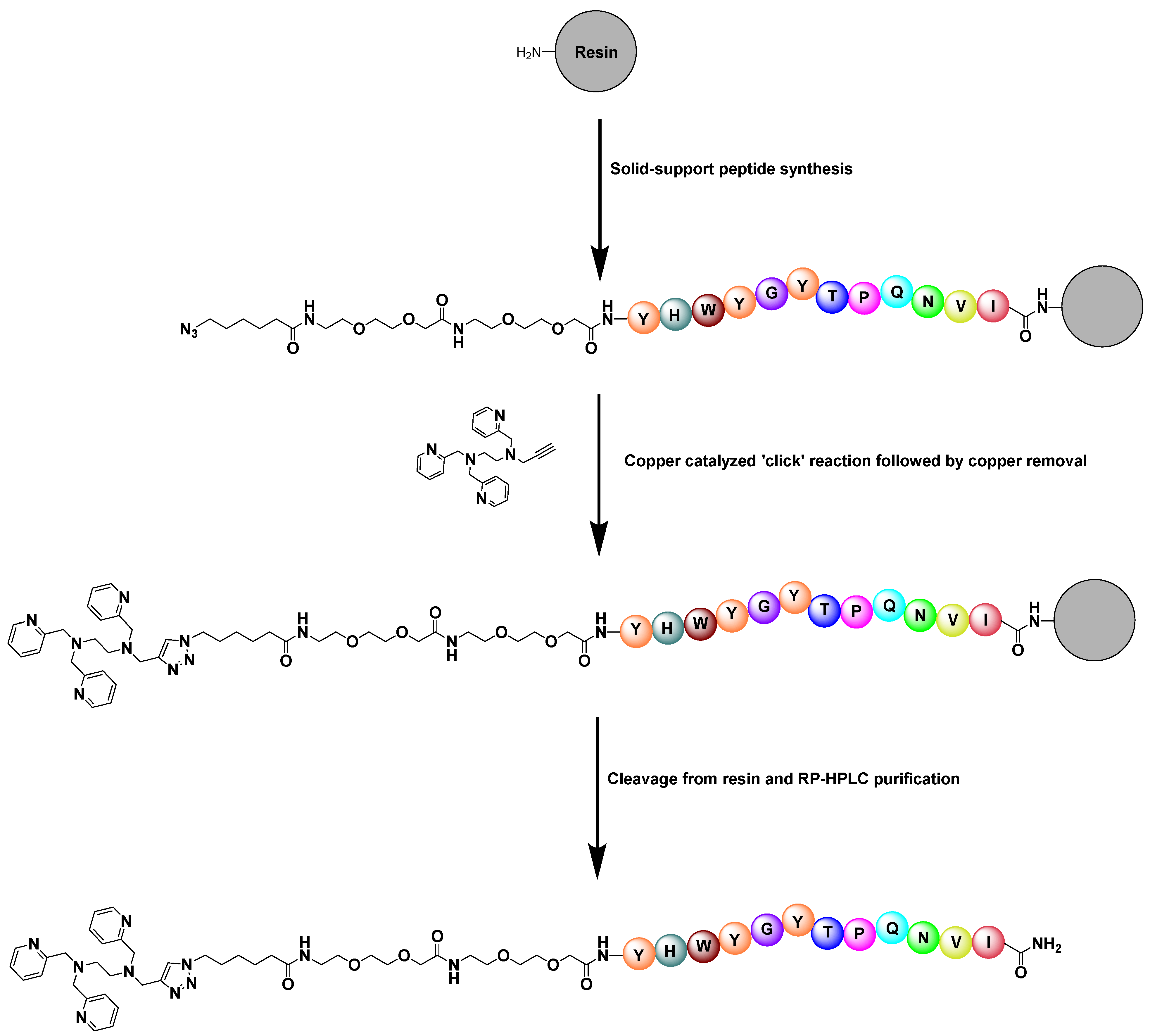 Molecules 30 00212 sch001