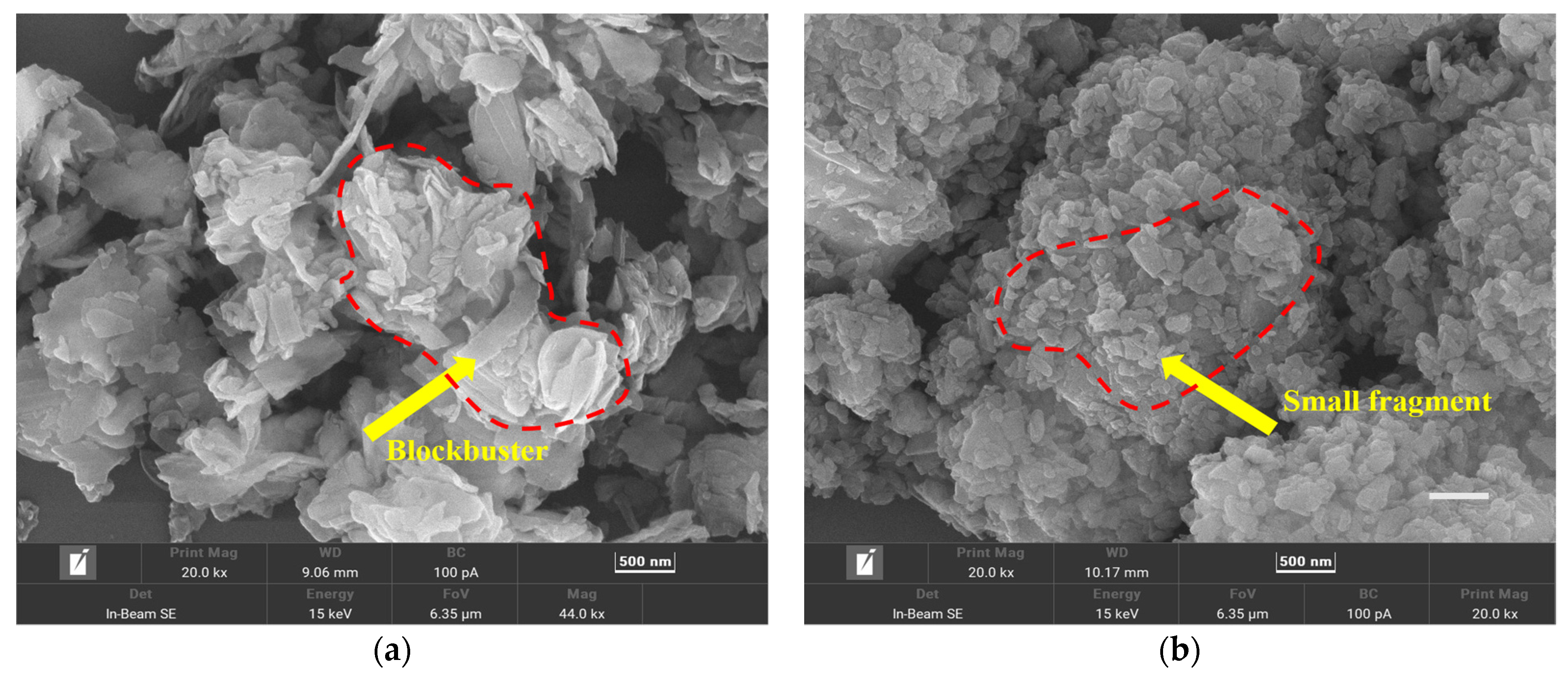 Molecules 30 00223 g003