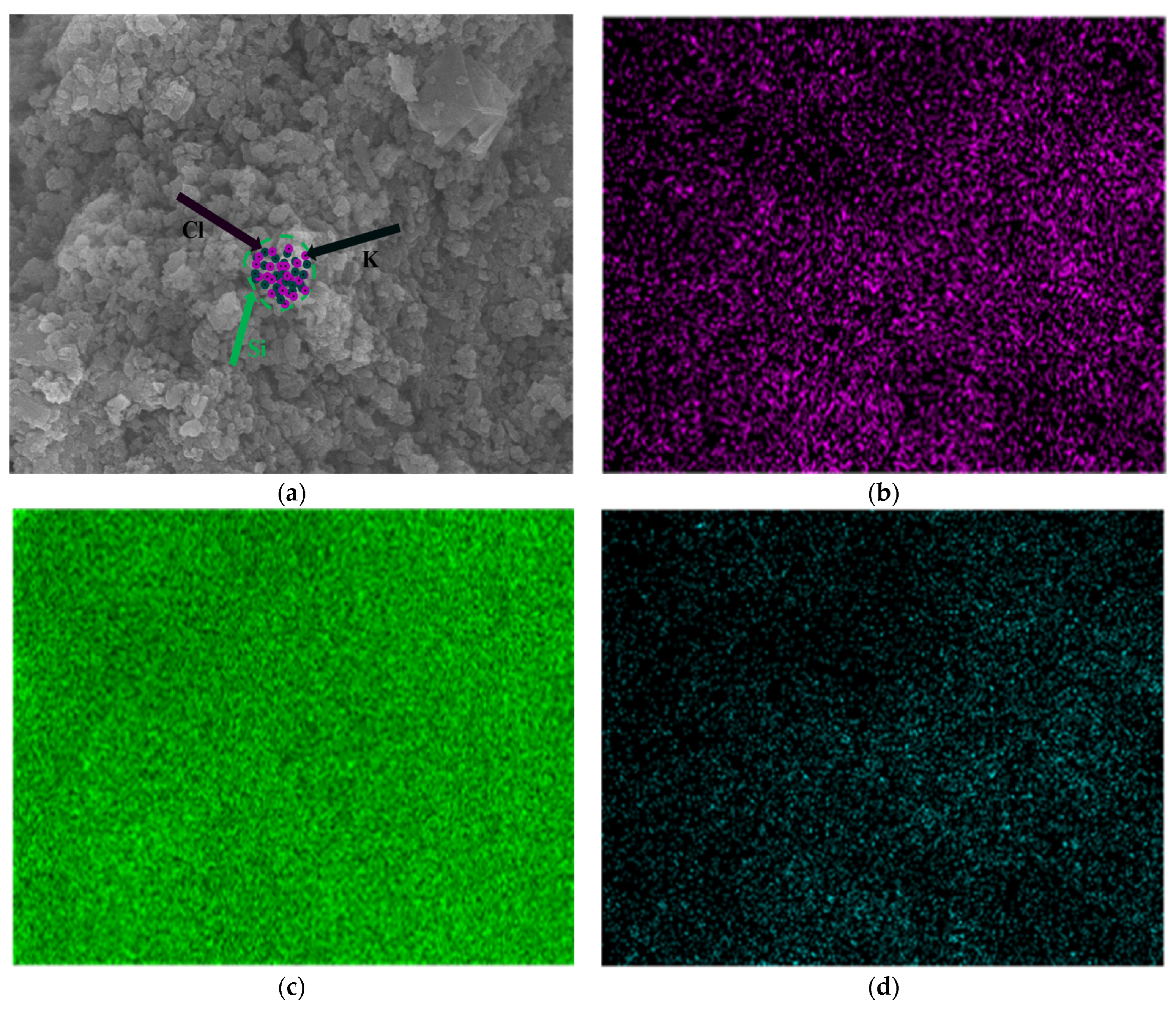 Molecules 30 00223 g007