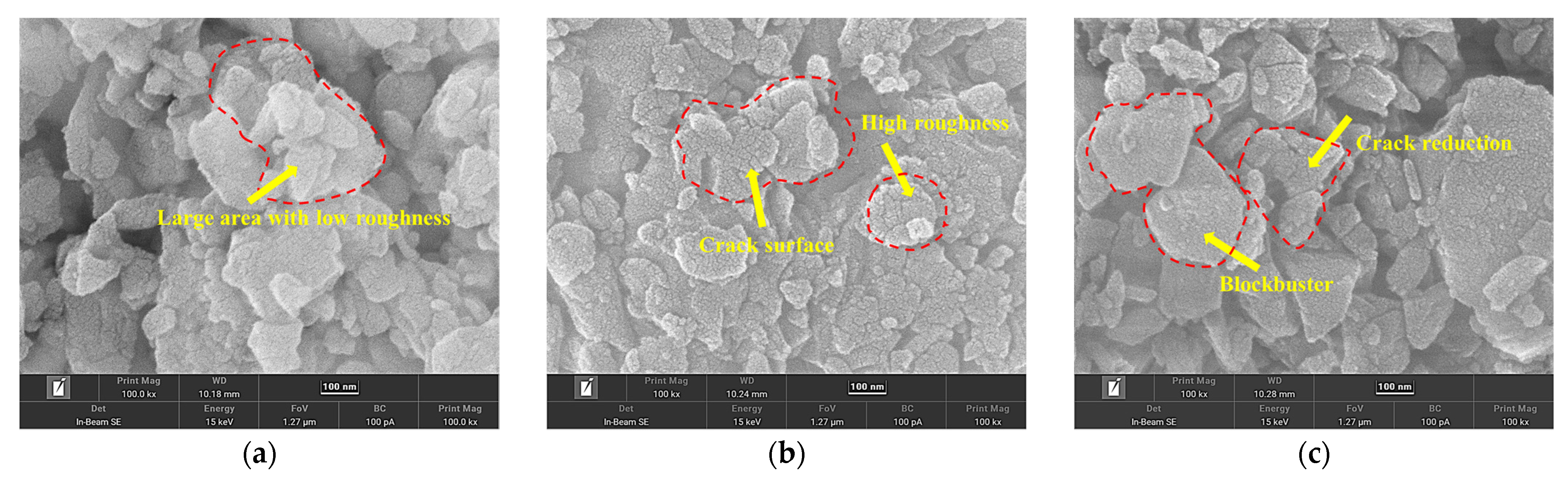 Molecules 30 00223 g010