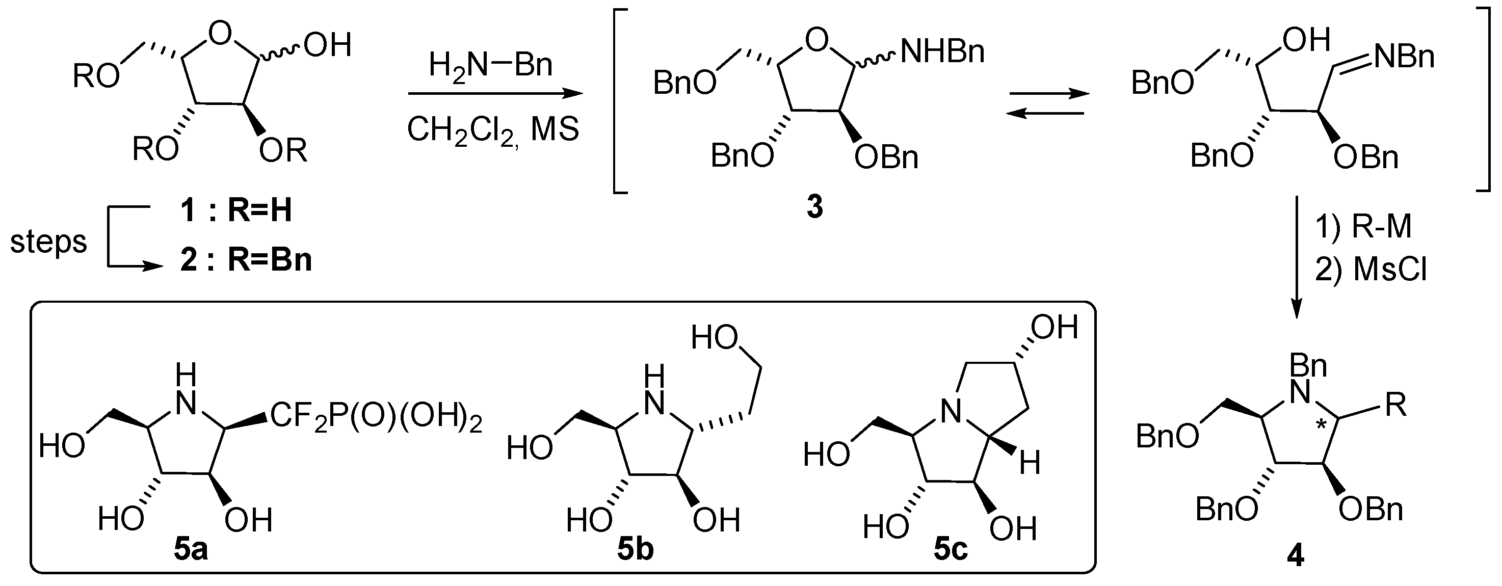 Molecules 30 00226 sch001