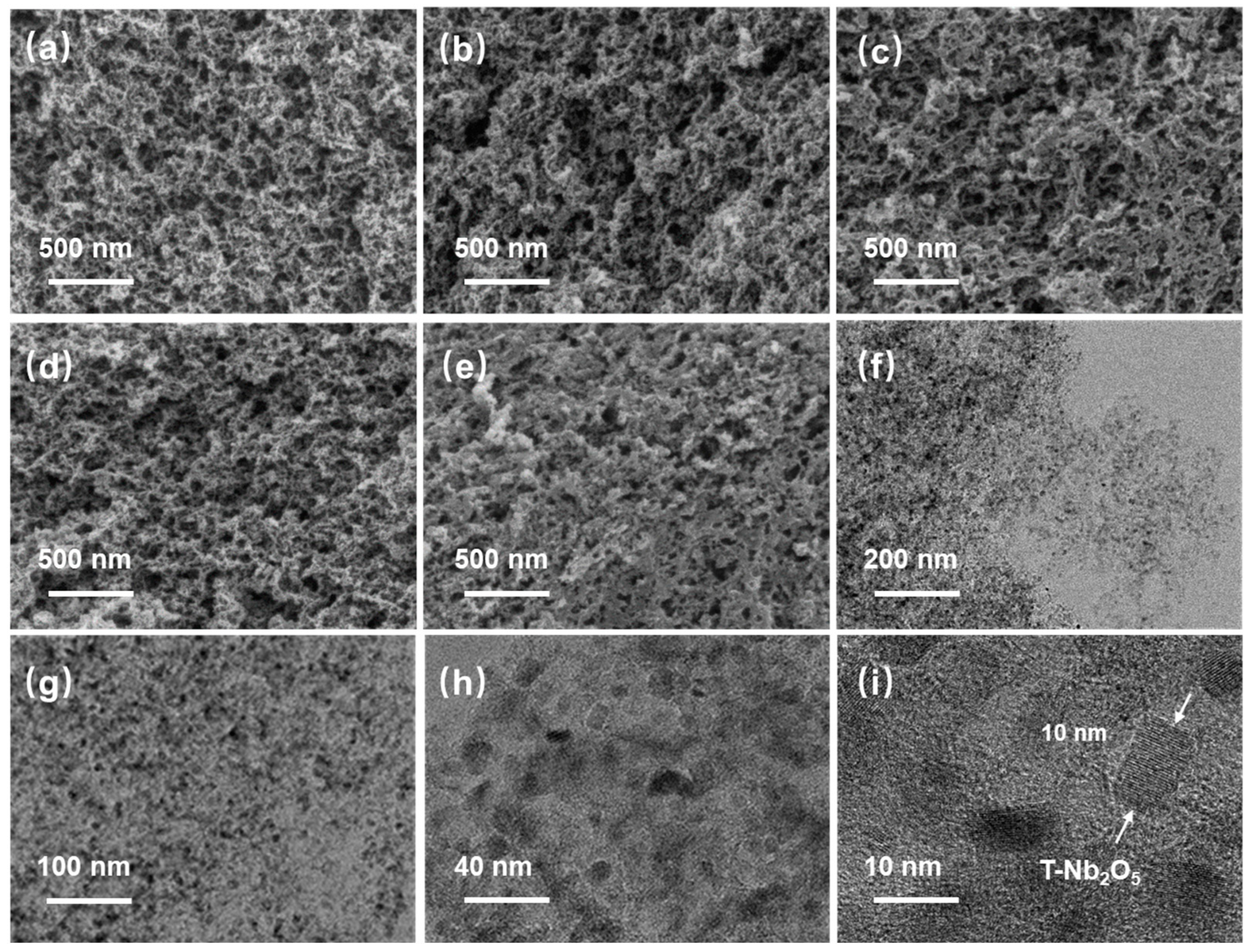 Molecules 30 00227 g002