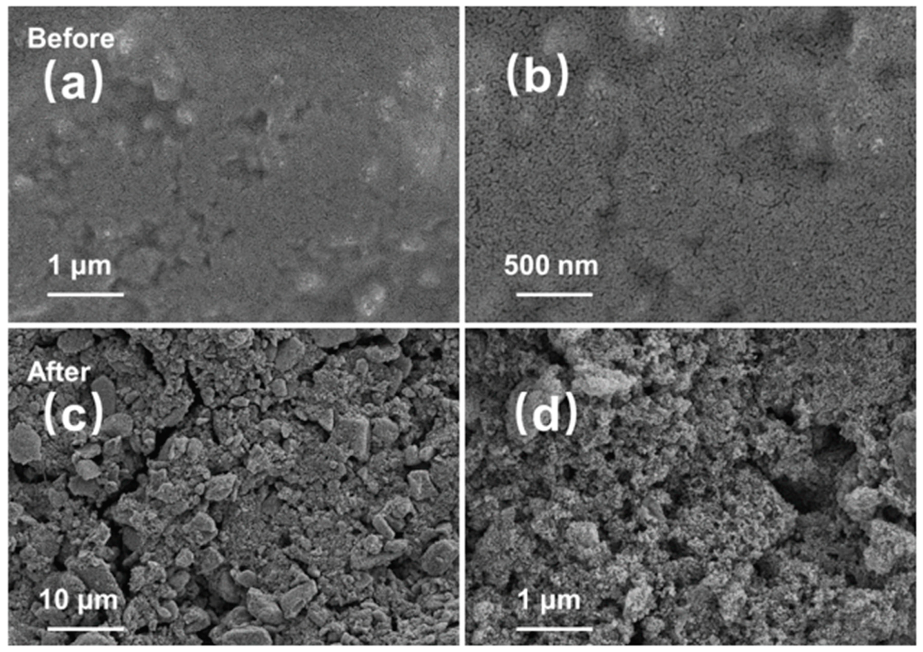 Molecules 30 00227 g008