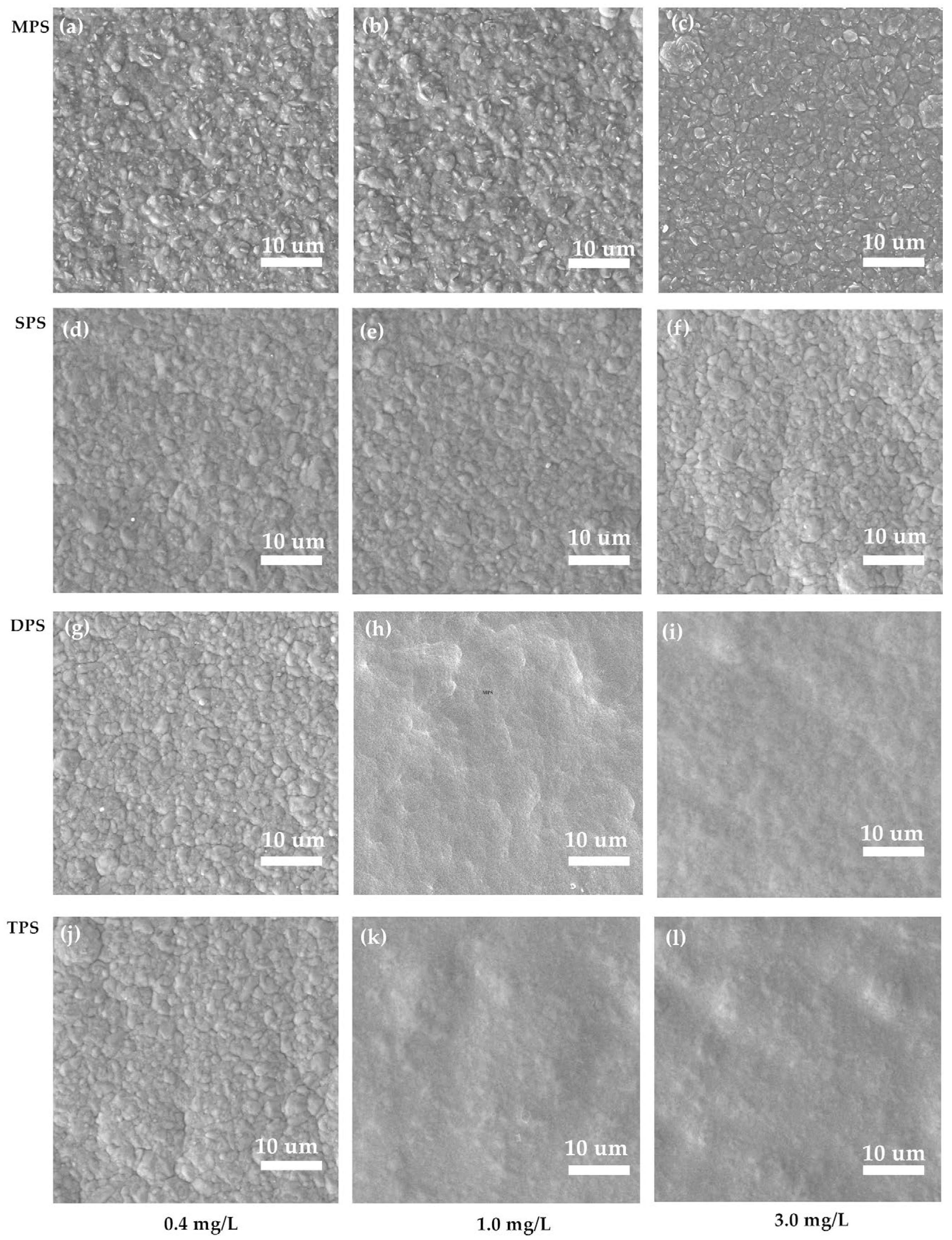 Molecules 30 00229 g003